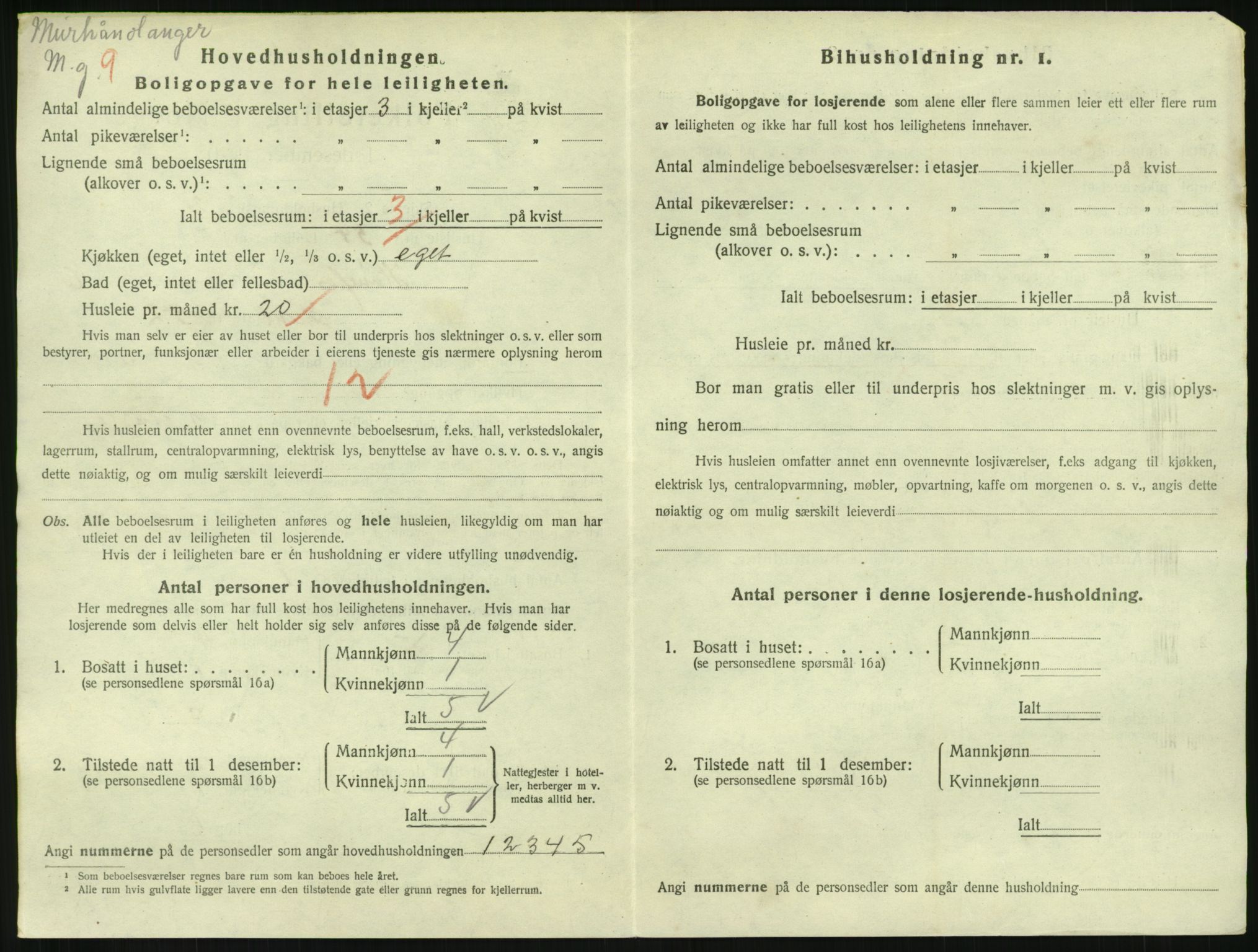 SAKO, 1920 census for Hønefoss, 1920, p. 2111