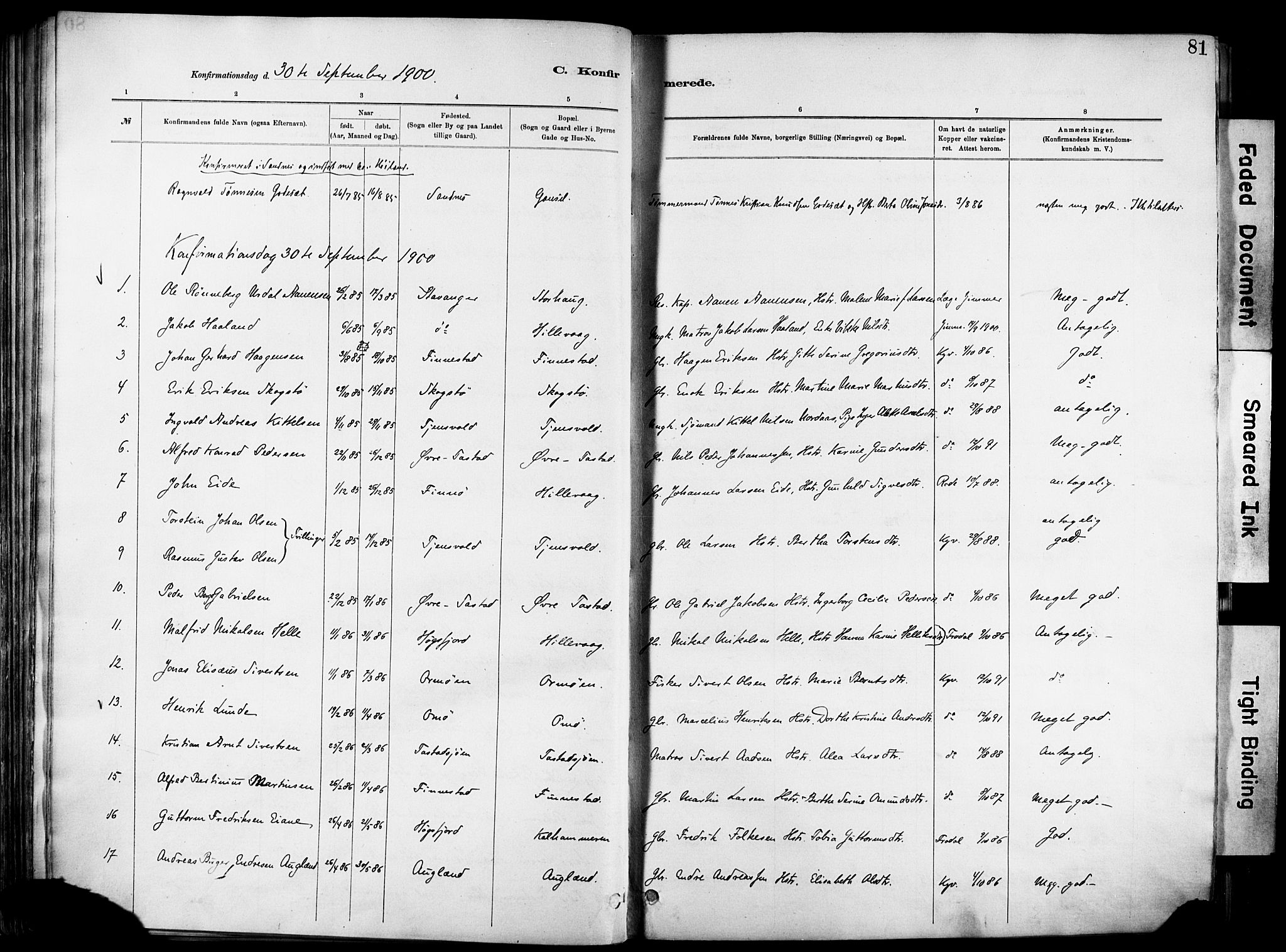 Hetland sokneprestkontor, SAST/A-101826/30/30BA/L0012: Parish register (official) no. A 12, 1882-1912, p. 81