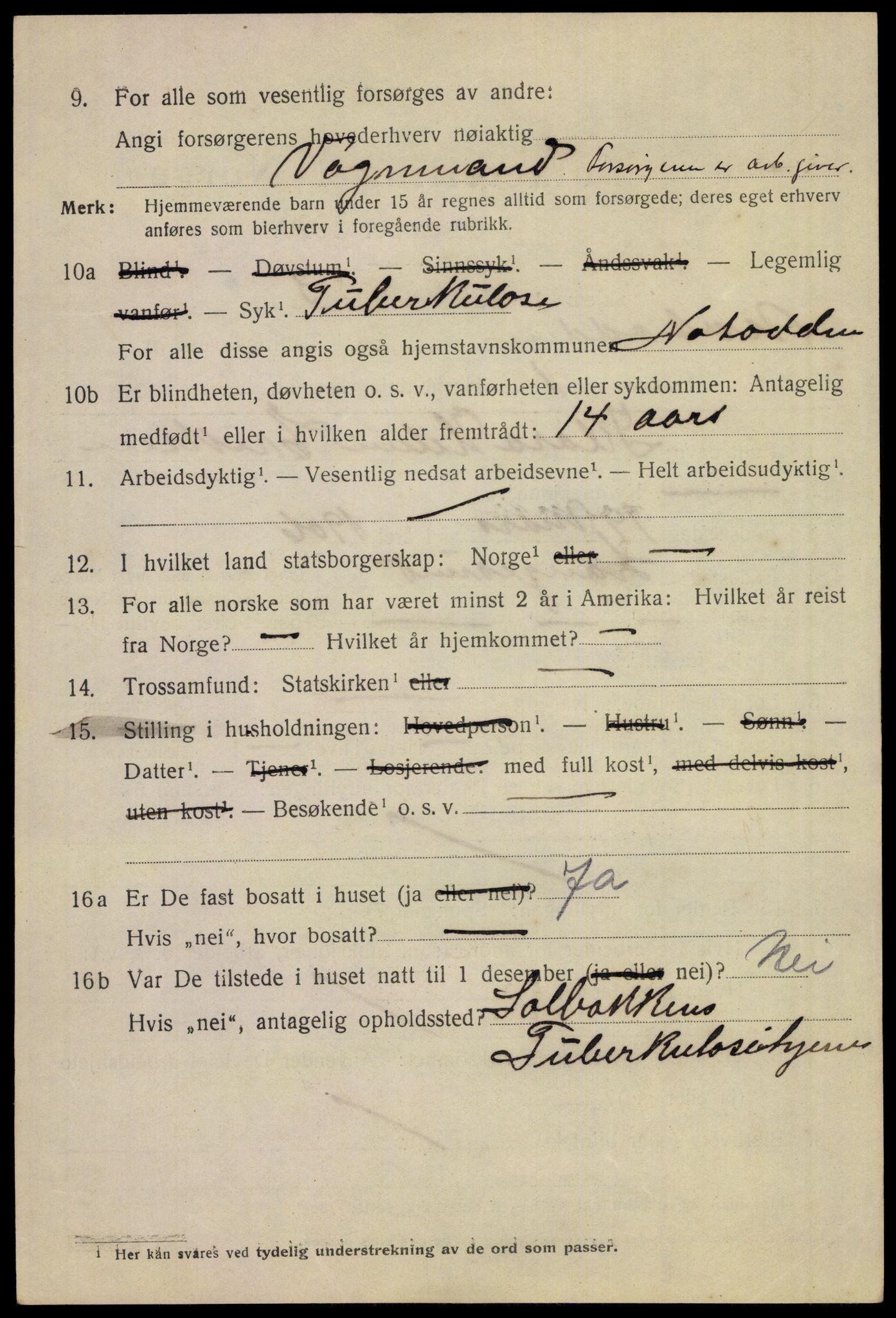 SAKO, 1920 census for Notodden, 1920, p. 4199