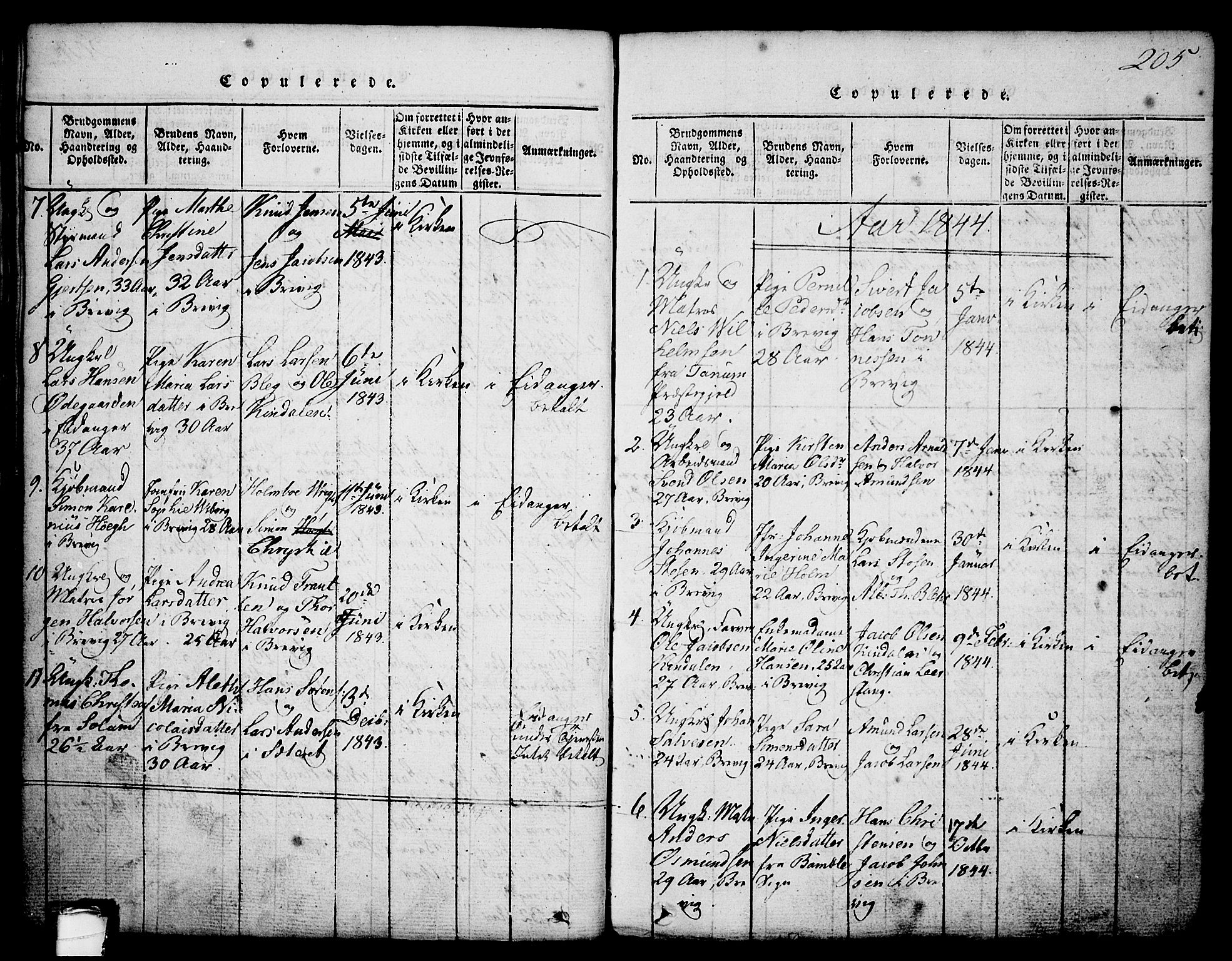 Brevik kirkebøker, AV/SAKO-A-255/G/Ga/L0001: Parish register (copy) no. 1, 1814-1845, p. 205