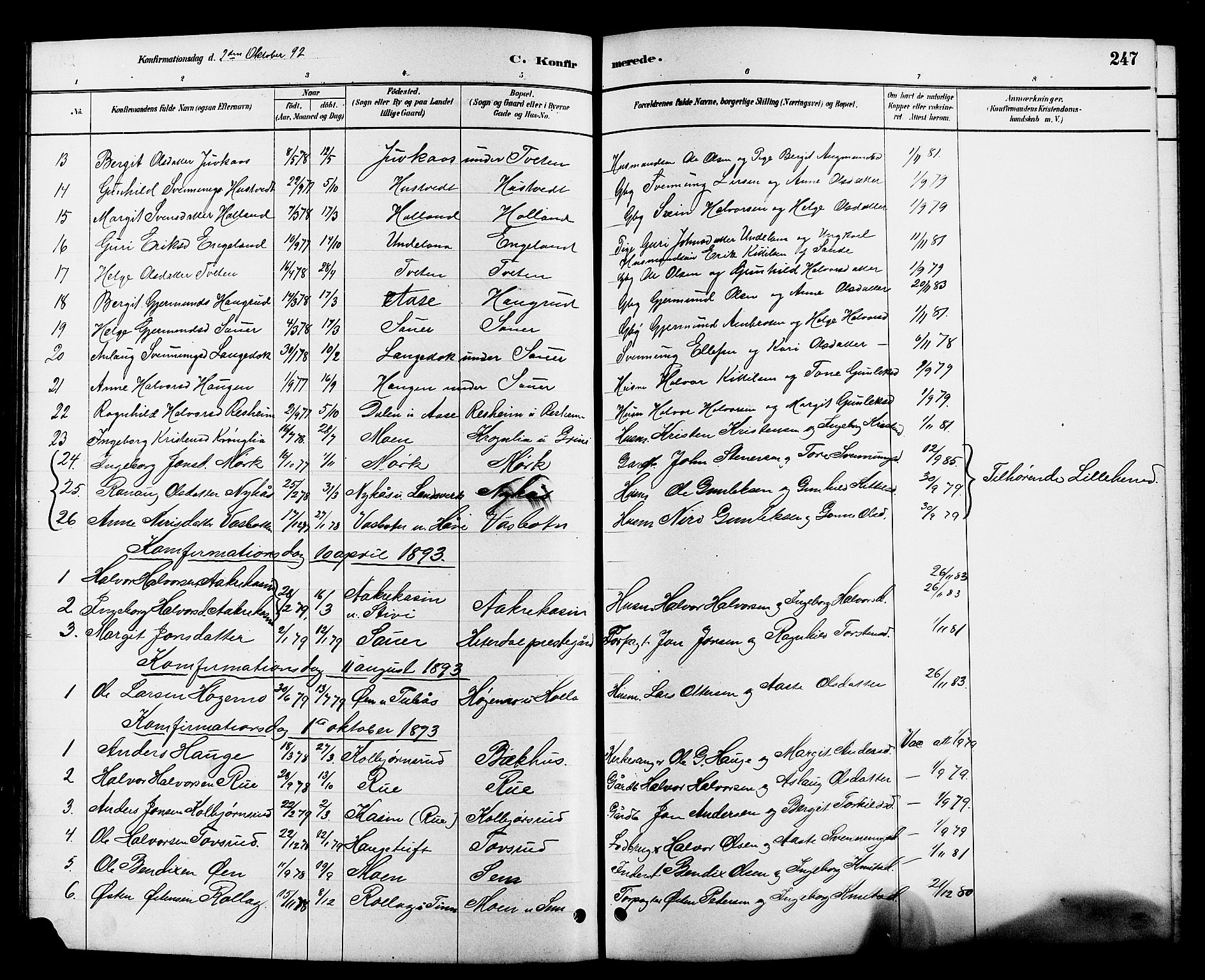 Heddal kirkebøker, AV/SAKO-A-268/G/Ga/L0002: Parish register (copy) no. I 2, 1879-1908, p. 247