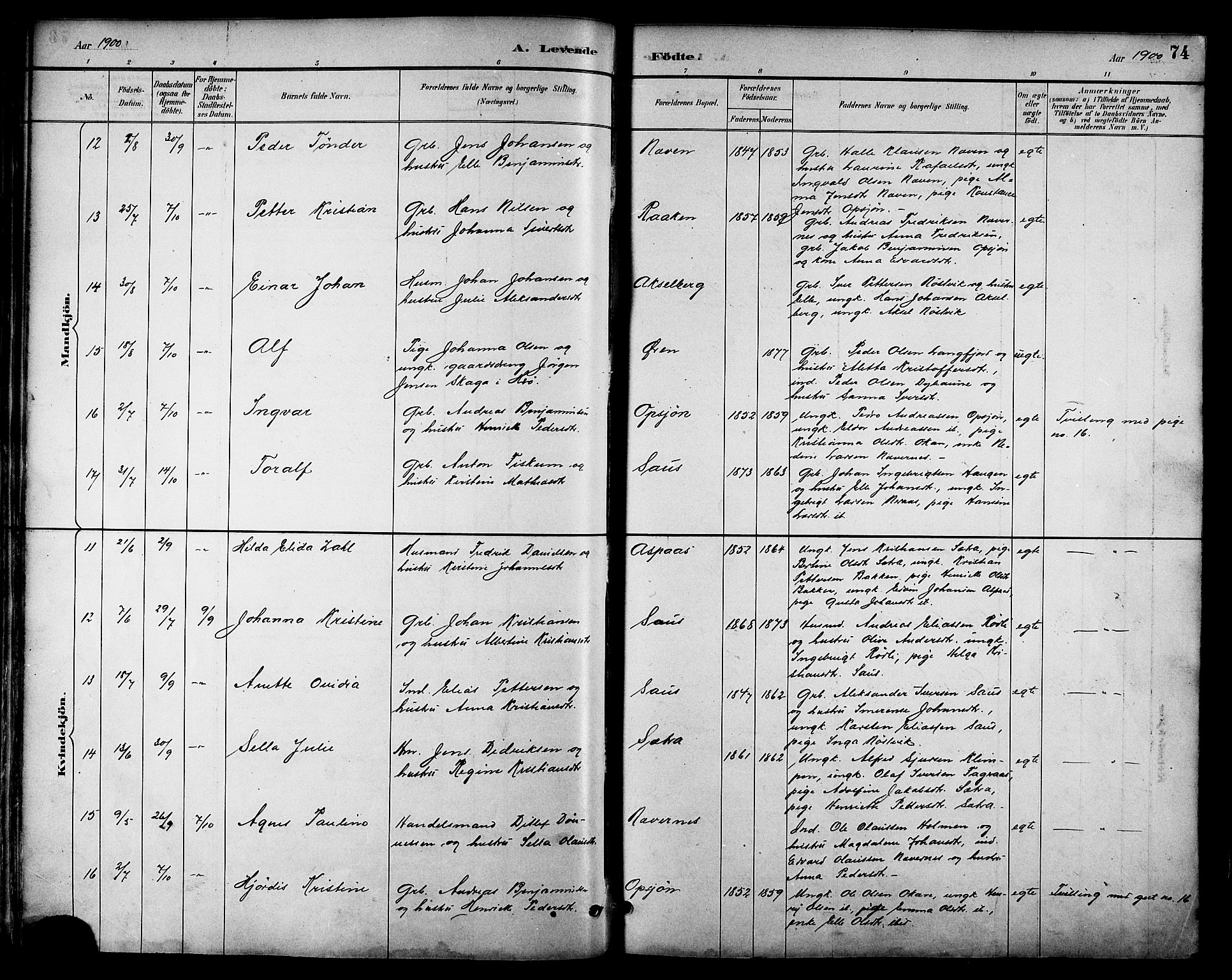 Ministerialprotokoller, klokkerbøker og fødselsregistre - Nordland, AV/SAT-A-1459/814/L0230: Parish register (copy) no. 814C03, 1884-1911, p. 74