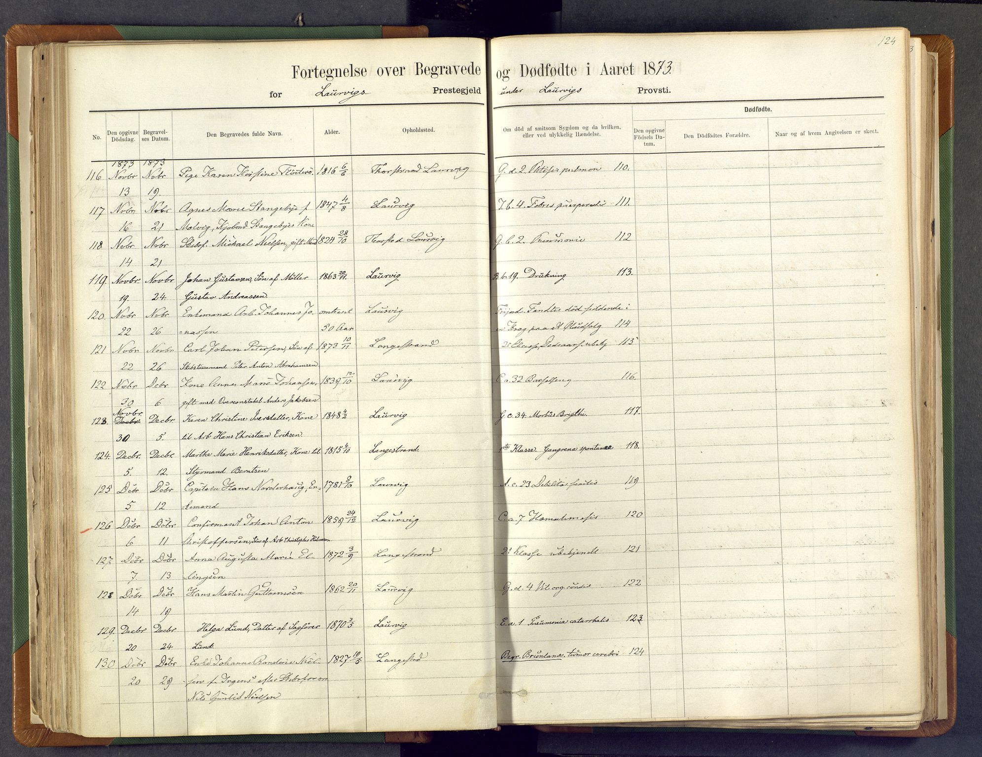 Larvik kirkebøker, AV/SAKO-A-352/F/Fa/L0007: Parish register (official) no. I 7, 1871-1883, p. 124