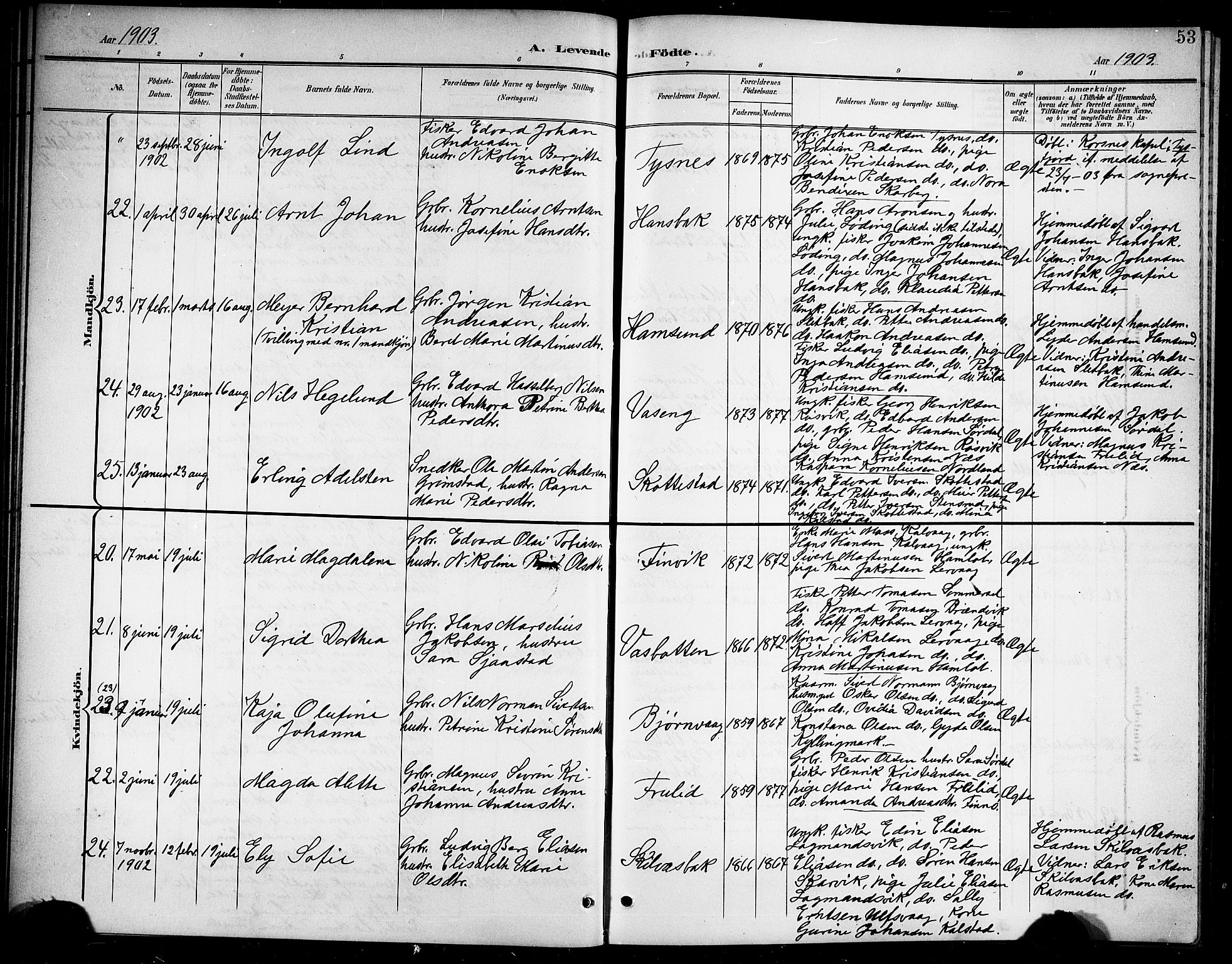 Ministerialprotokoller, klokkerbøker og fødselsregistre - Nordland, AV/SAT-A-1459/859/L0860: Parish register (copy) no. 859C06, 1899-1909, p. 53