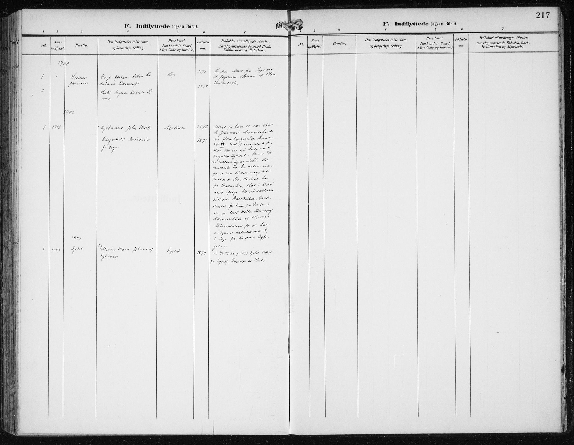 Fana Sokneprestembete, SAB/A-75101/H/Haa/Haai/L0003: Parish register (official) no. I 3, 1900-1912, p. 217