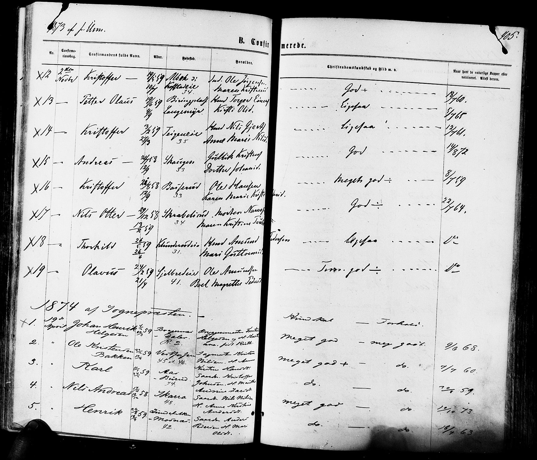 Eiker kirkebøker, AV/SAKO-A-4/F/Fa/L0017: Parish register (official) no. I 17, 1869-1877, p. 405