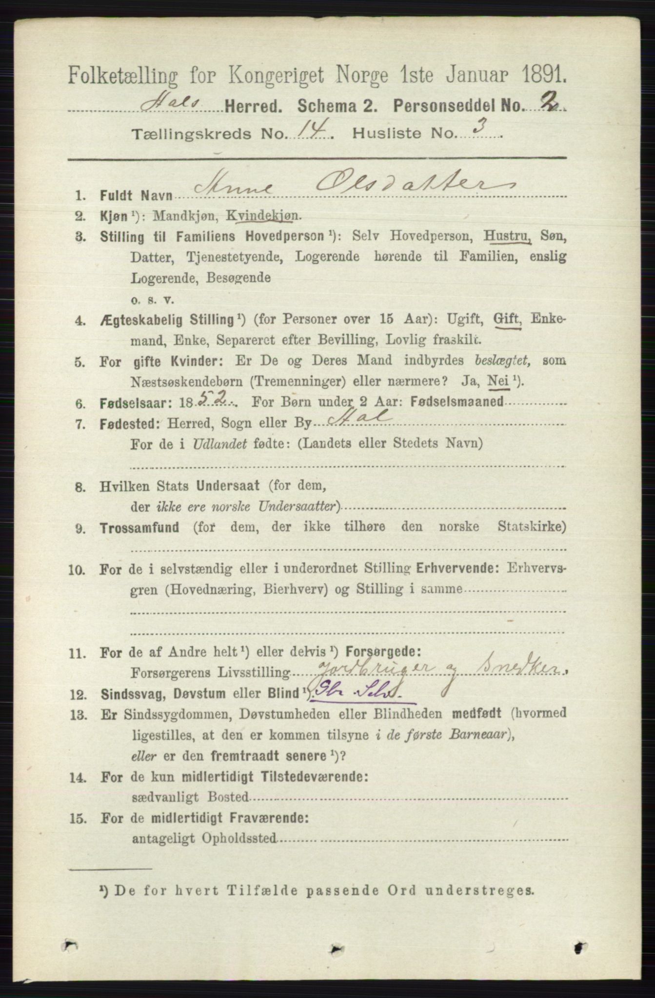 RA, 1891 census for 0619 Ål, 1891, p. 3549