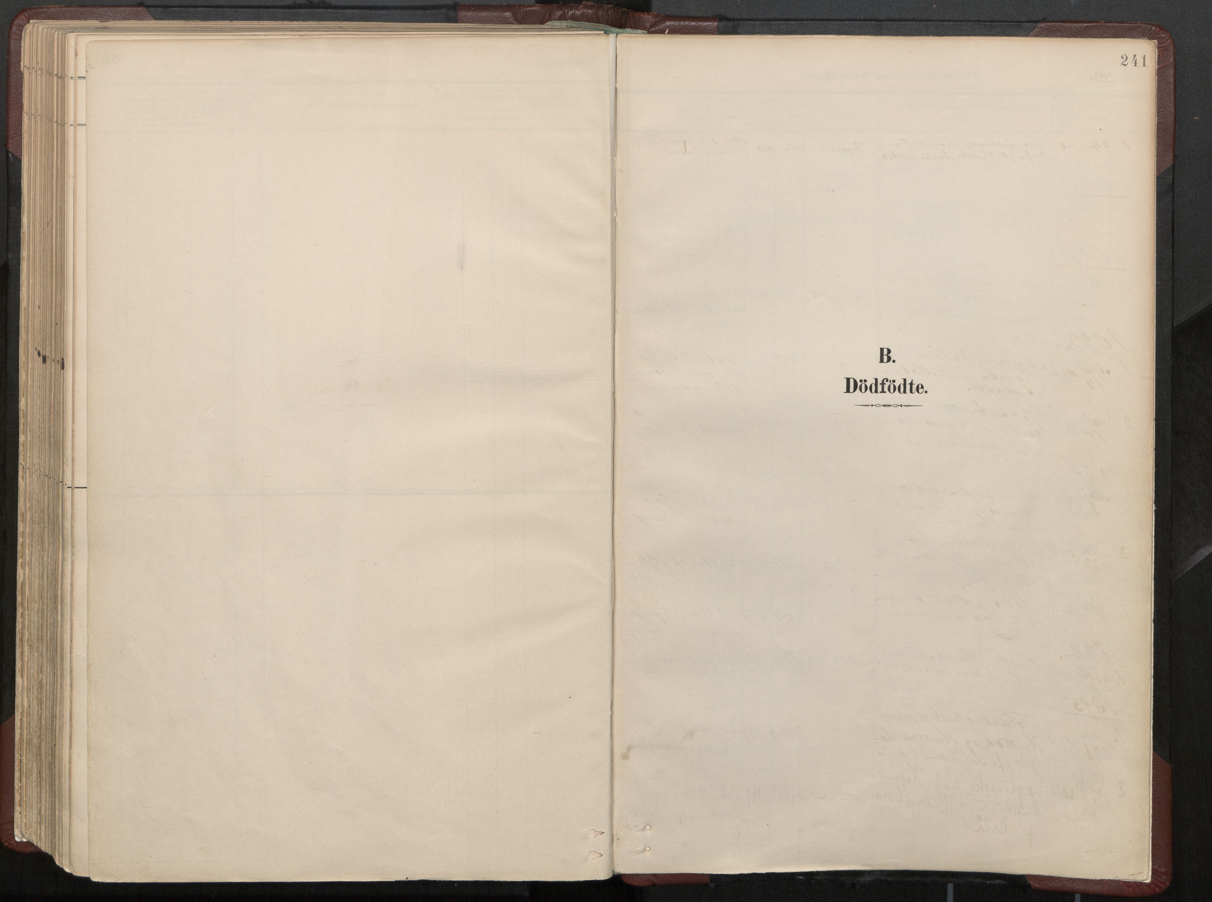 Ministerialprotokoller, klokkerbøker og fødselsregistre - Nord-Trøndelag, SAT/A-1458/768/L0574: Parish register (official) no. 768A08, 1887-1927, p. 241