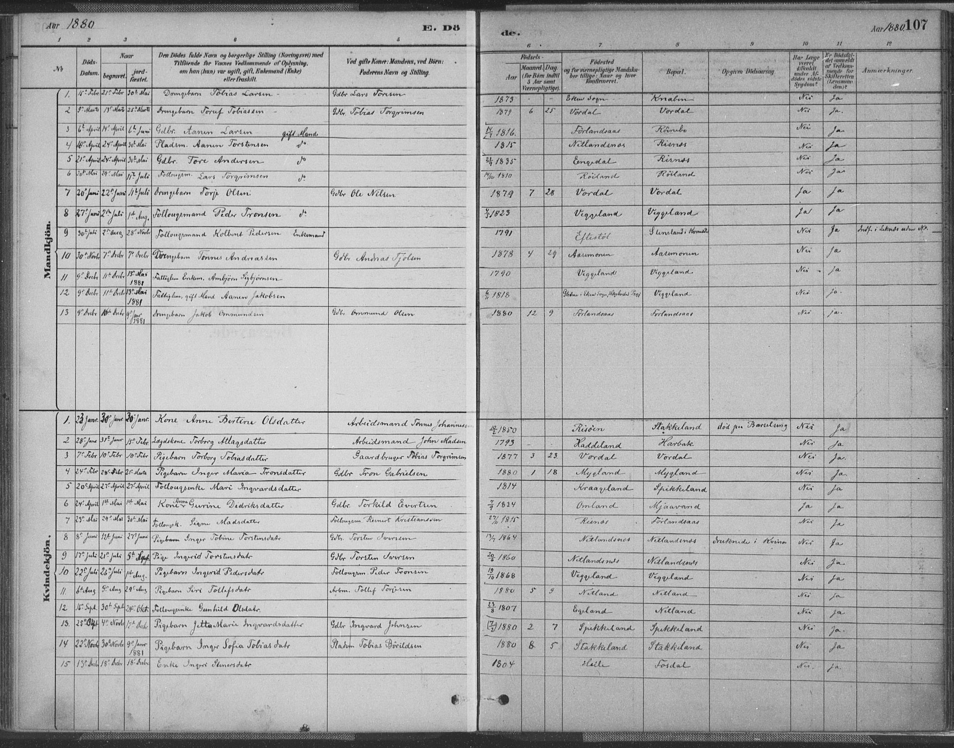 Fjotland sokneprestkontor, AV/SAK-1111-0010/F/Fa/L0002: Parish register (official) no. A 2, 1880-1898, p. 107