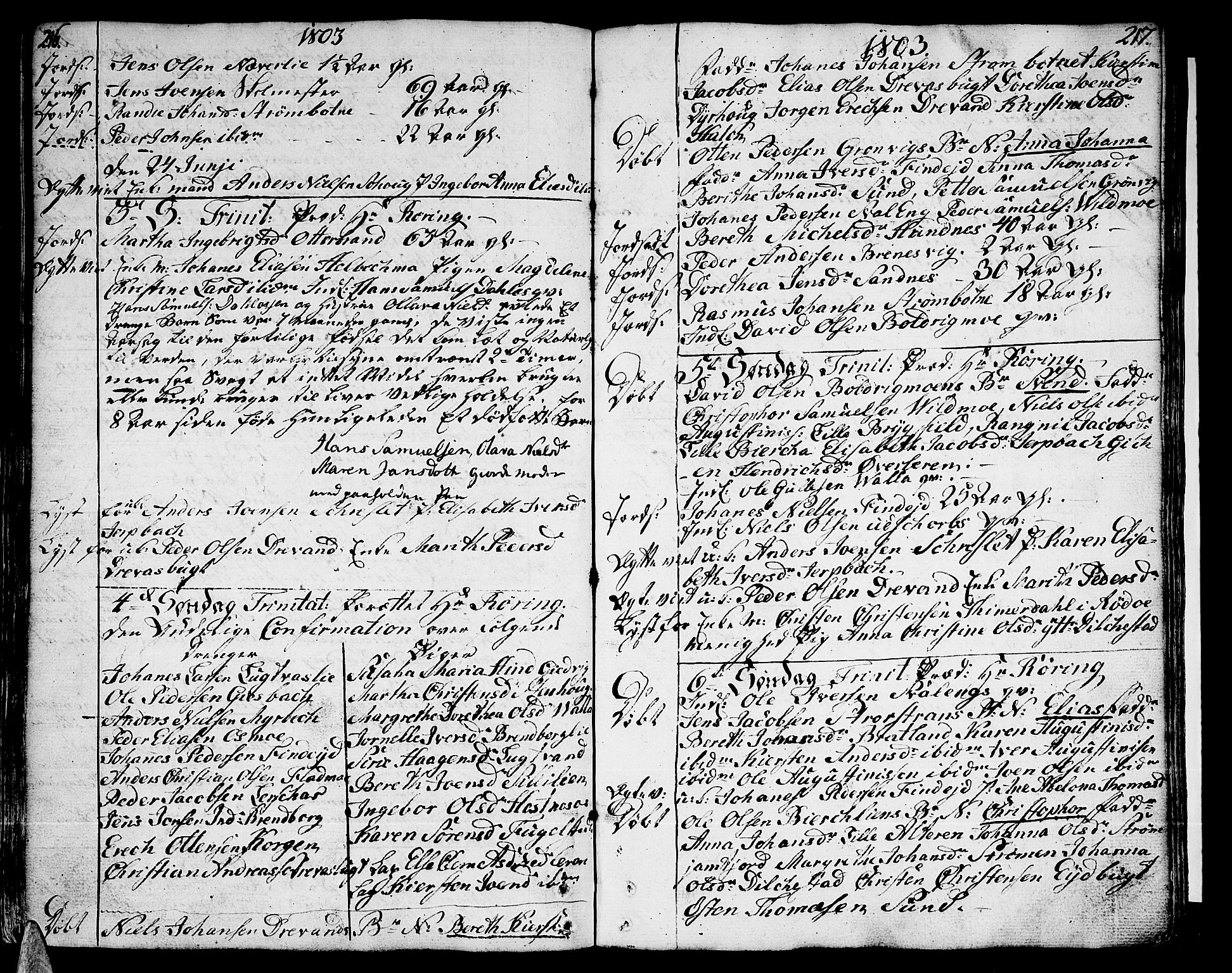Ministerialprotokoller, klokkerbøker og fødselsregistre - Nordland, SAT/A-1459/825/L0349: Parish register (official) no. 825A05 /1, 1789-1806, p. 216-217