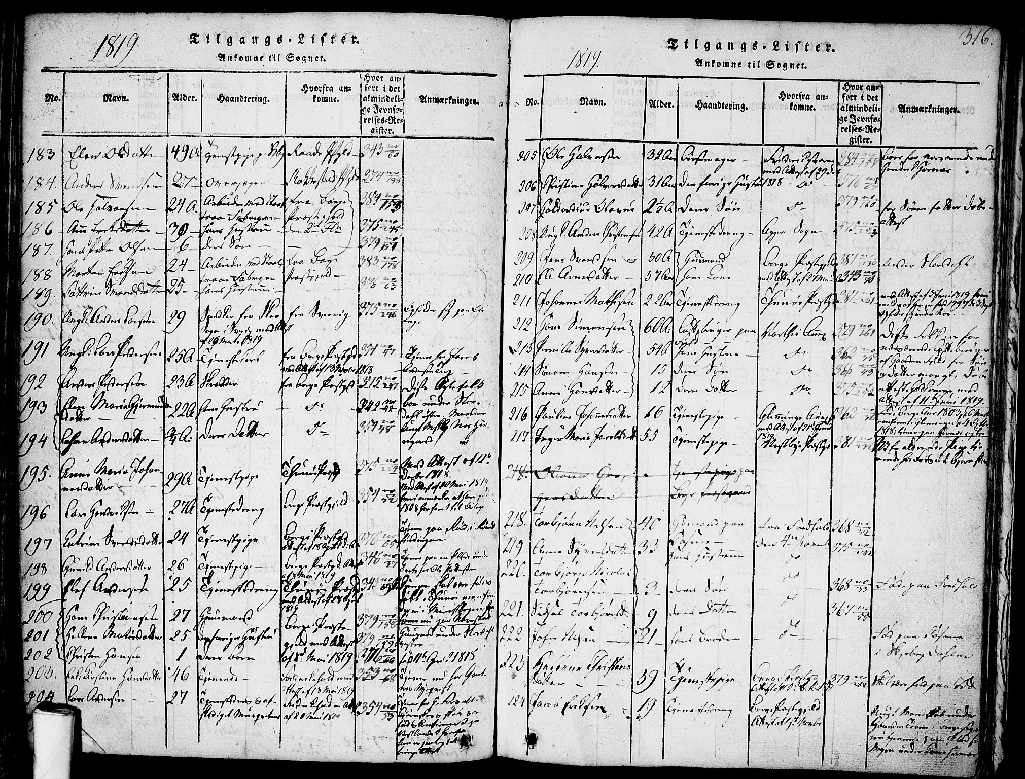 Skjeberg prestekontor Kirkebøker, SAO/A-10923/F/Fa/L0004: Parish register (official) no. I 4, 1815-1830, p. 316
