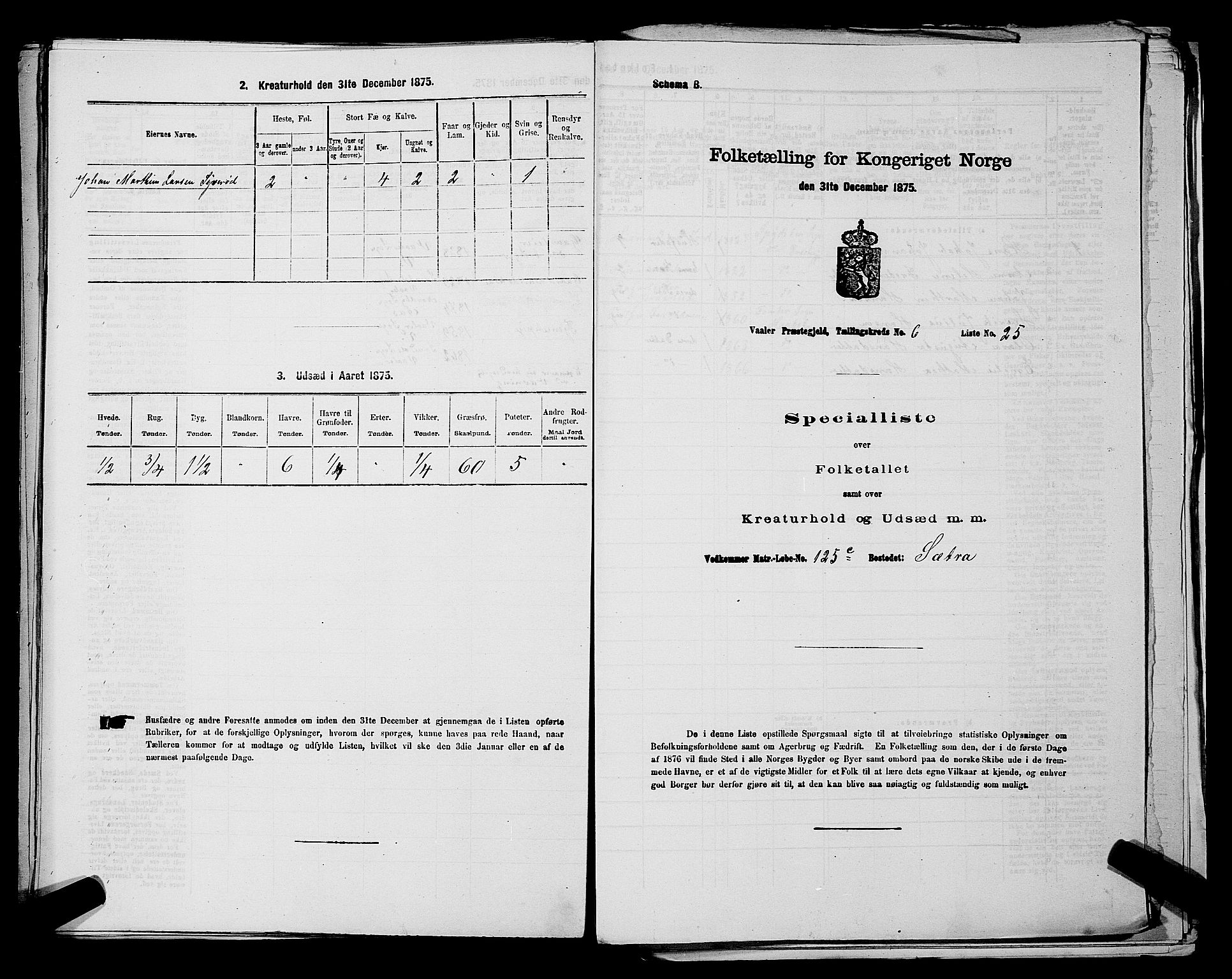 RA, 1875 census for 0137P Våler, 1875, p. 855