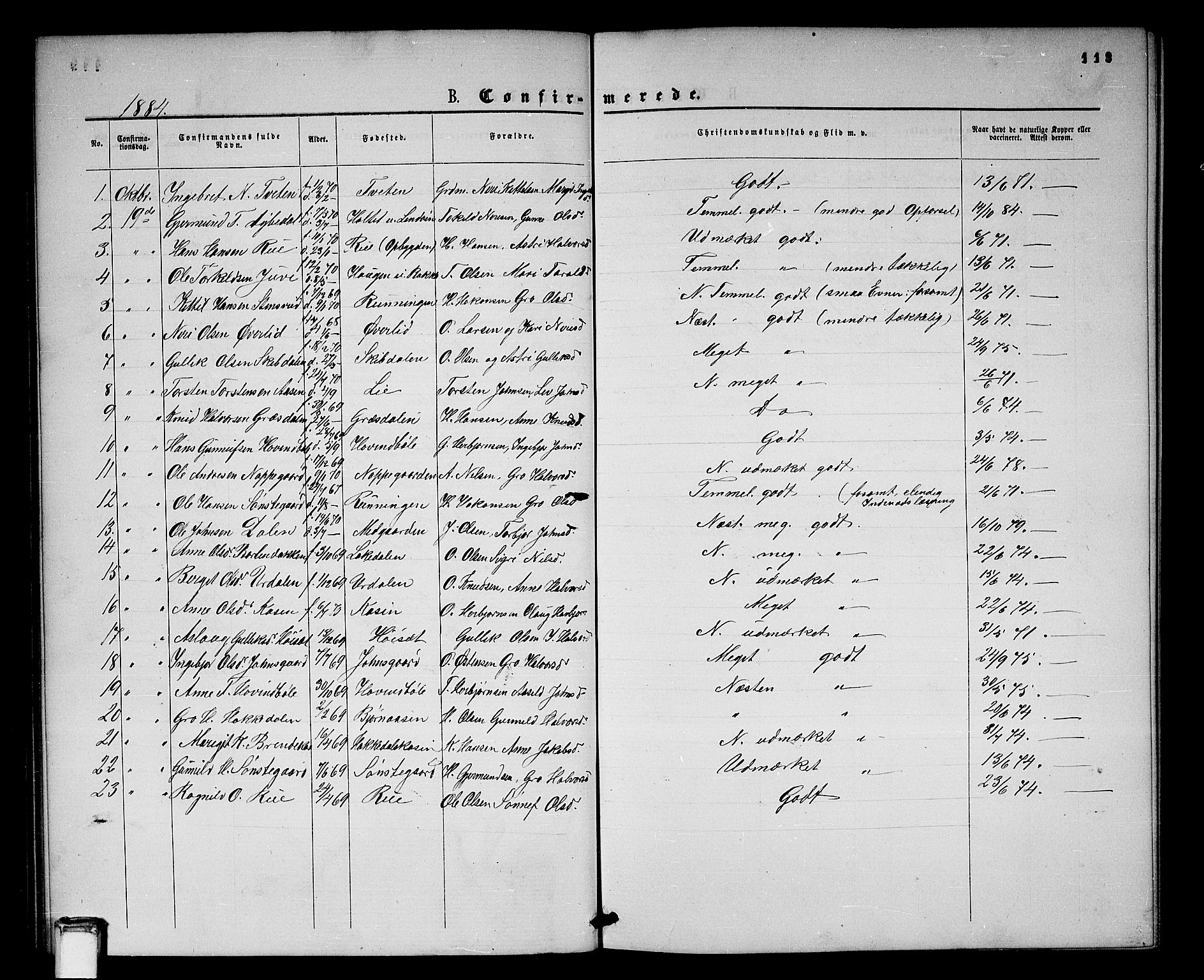 Gransherad kirkebøker, SAKO/A-267/G/Gb/L0002: Parish register (copy) no. II 2, 1860-1886, p. 113