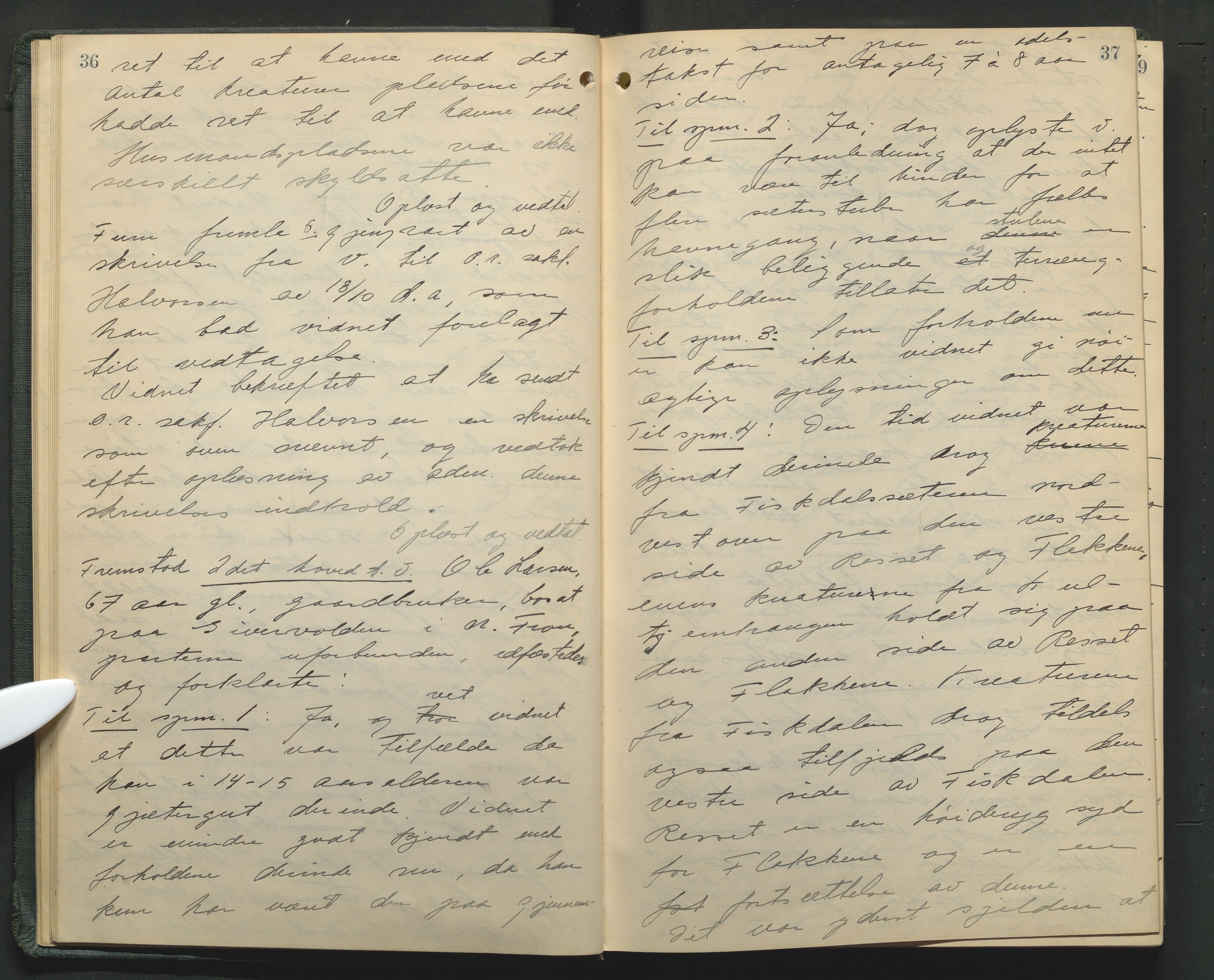 Nord-Gudbrandsdal tingrett, AV/SAH-TING-002/G/Gc/Gcb/L0013: Ekstrarettsprotokoll for åstedssaker, 1919-1927, p. 36-37