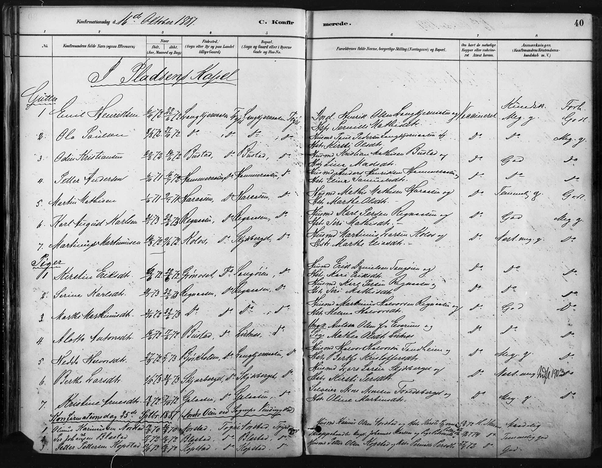 Trysil prestekontor, AV/SAH-PREST-046/H/Ha/Haa/L0009: Parish register (official) no. 9, 1881-1897, p. 40