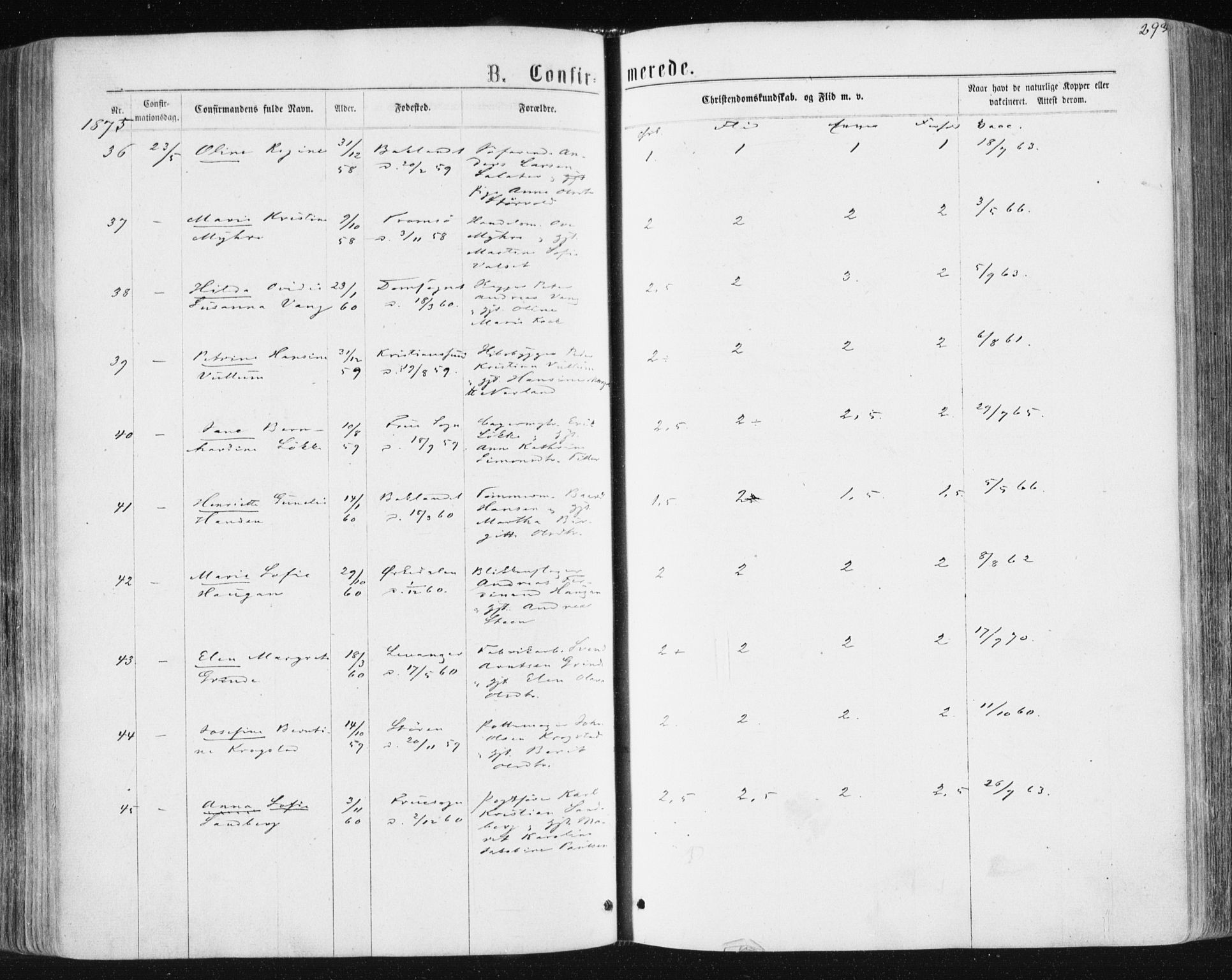 Ministerialprotokoller, klokkerbøker og fødselsregistre - Sør-Trøndelag, AV/SAT-A-1456/604/L0186: Parish register (official) no. 604A07, 1866-1877, p. 293