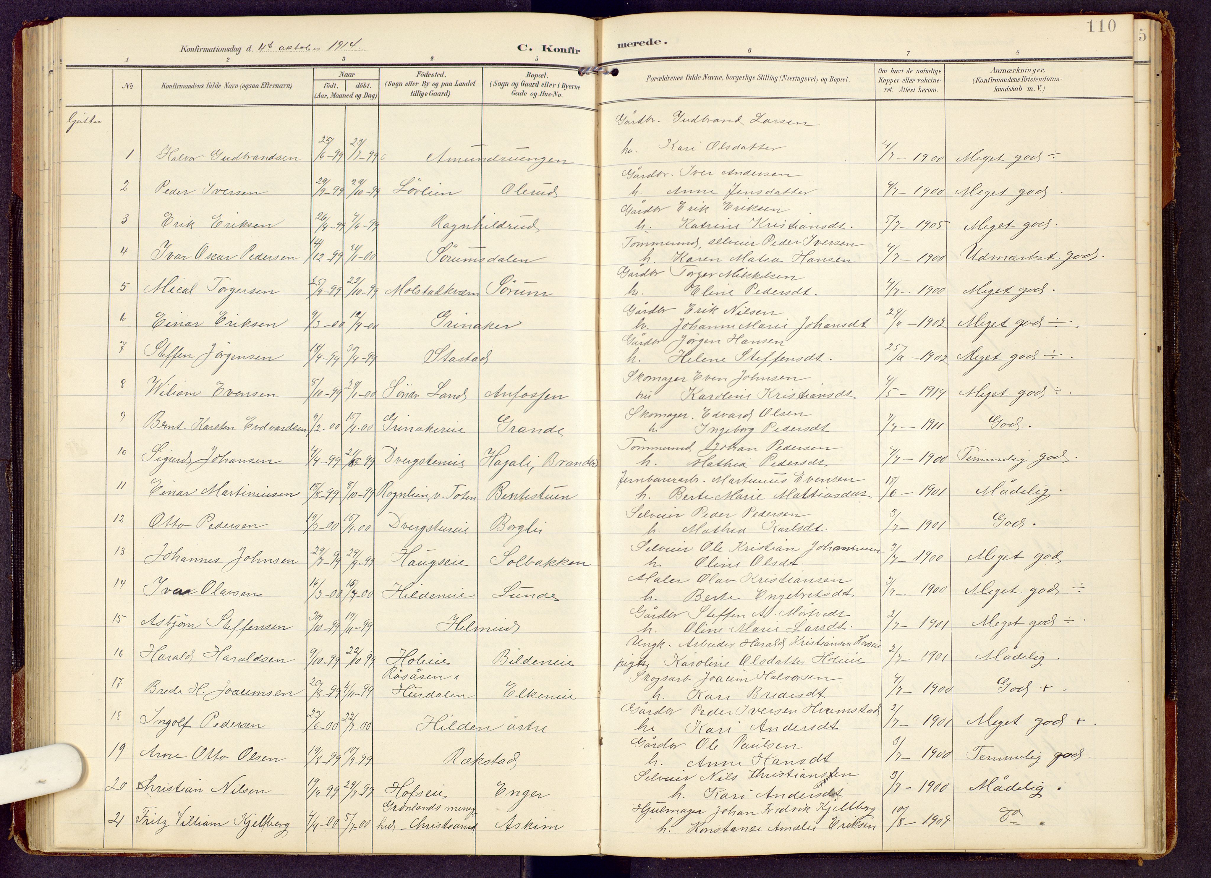 Brandbu prestekontor, SAH/PREST-114/H/Ha/Hab/L0009: Parish register (copy) no. 9, 1903-1916, p. 110