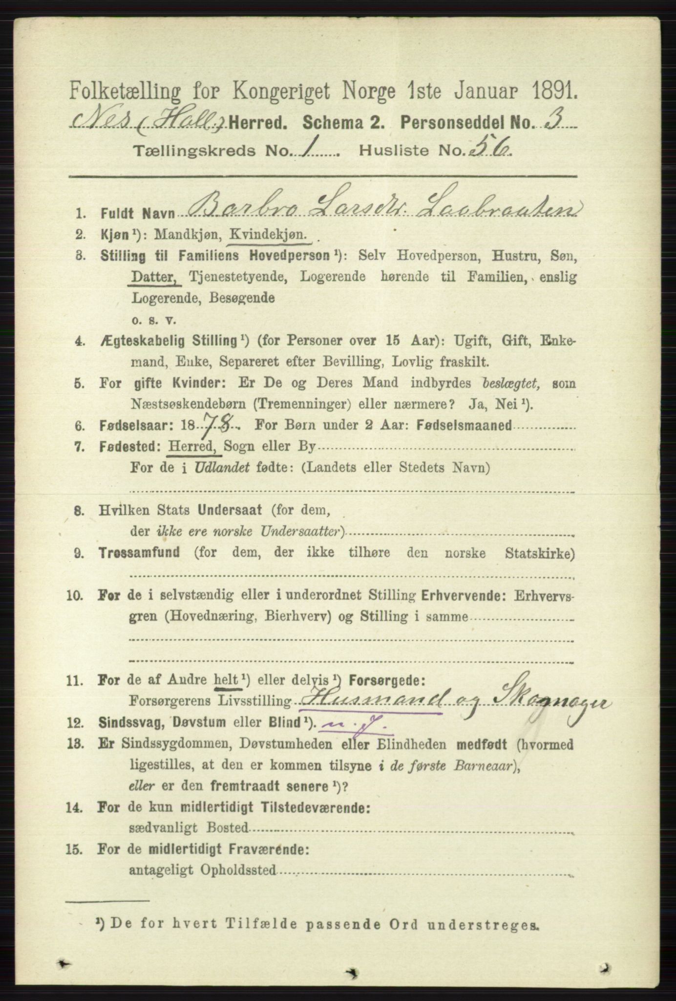 RA, 1891 census for 0616 Nes, 1891, p. 484