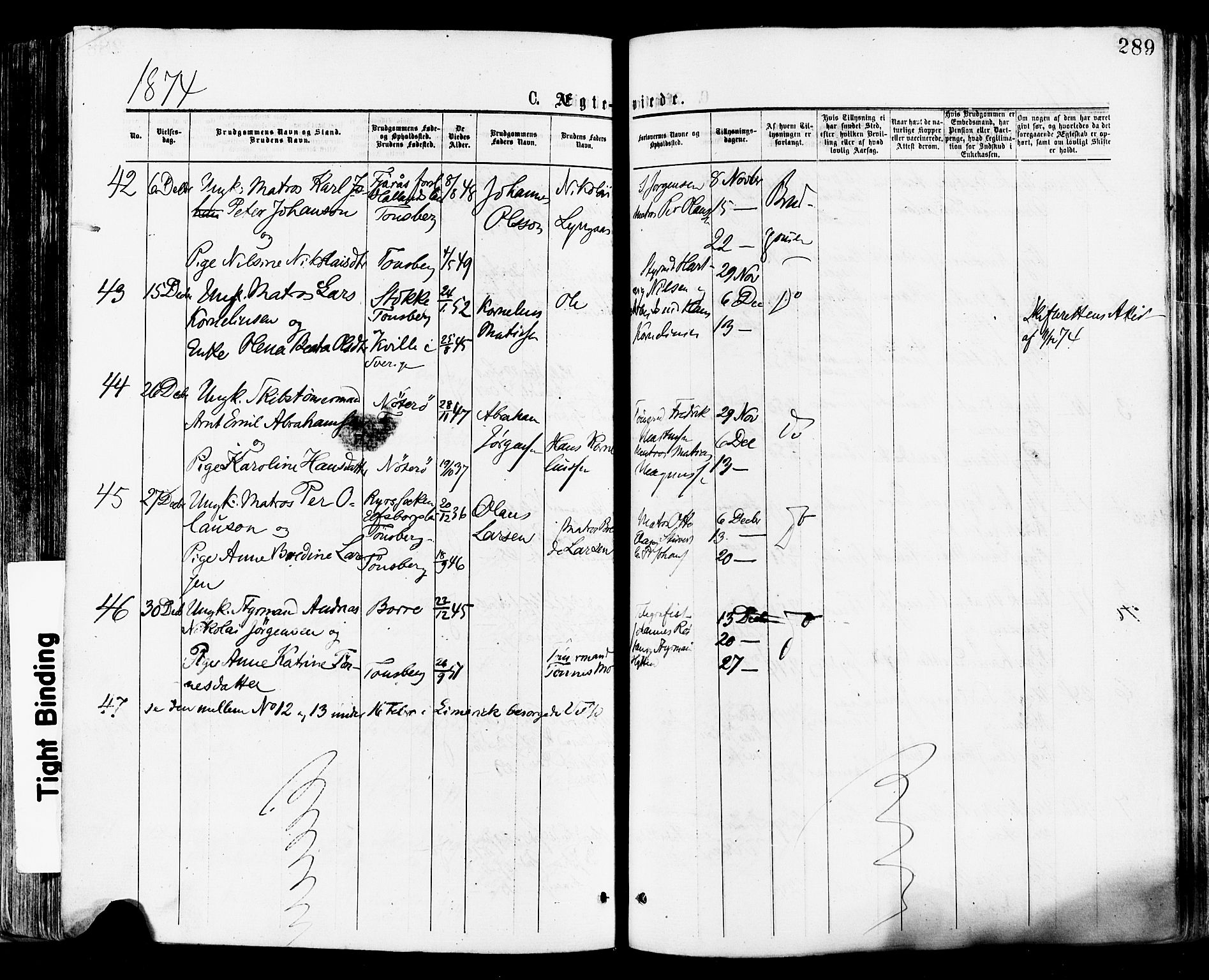 Tønsberg kirkebøker, AV/SAKO-A-330/F/Fa/L0010: Parish register (official) no. I 10, 1874-1880, p. 289