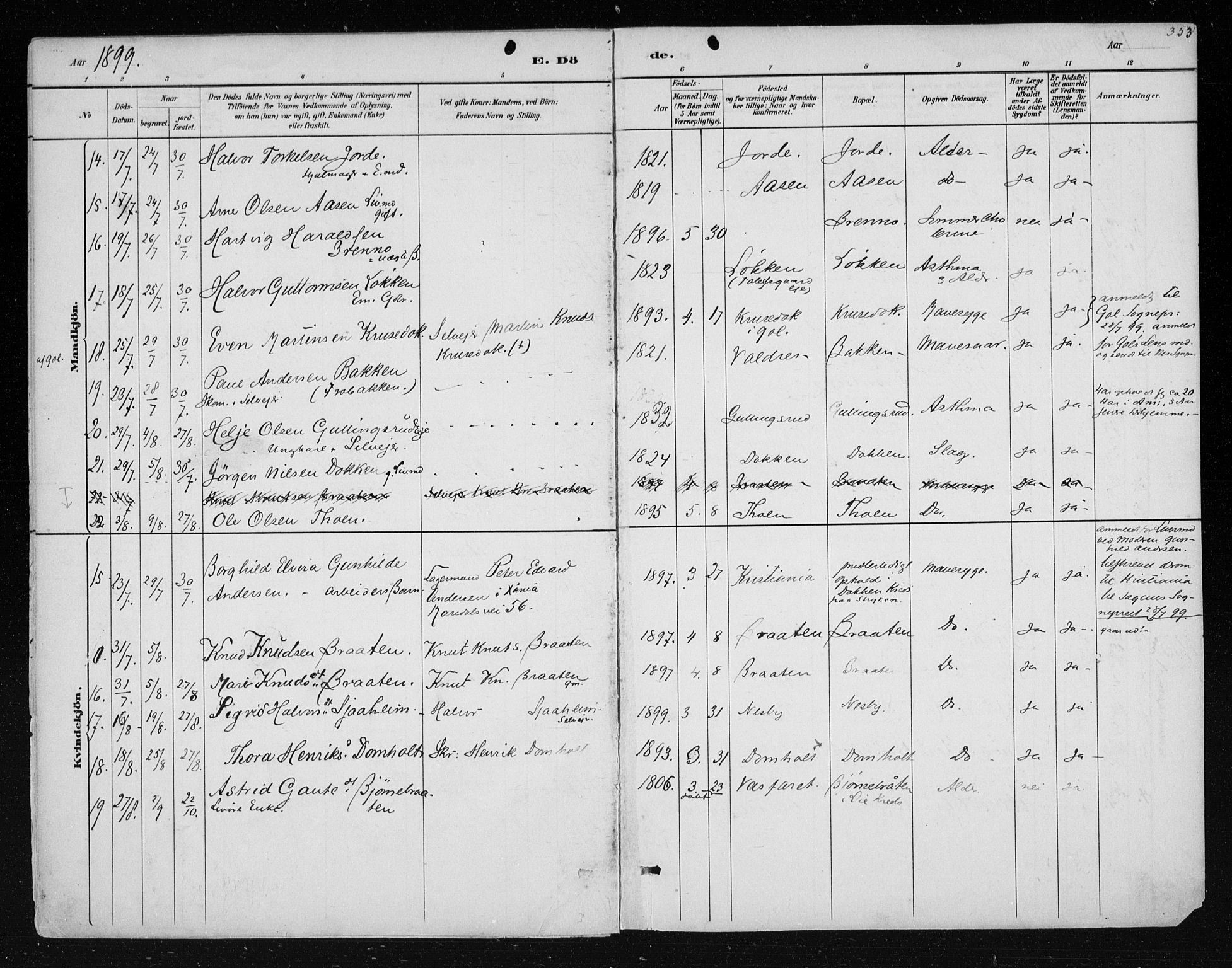 Nes kirkebøker, SAKO/A-236/F/Fa/L0011: Parish register (official) no. 11, 1881-1912, p. 353