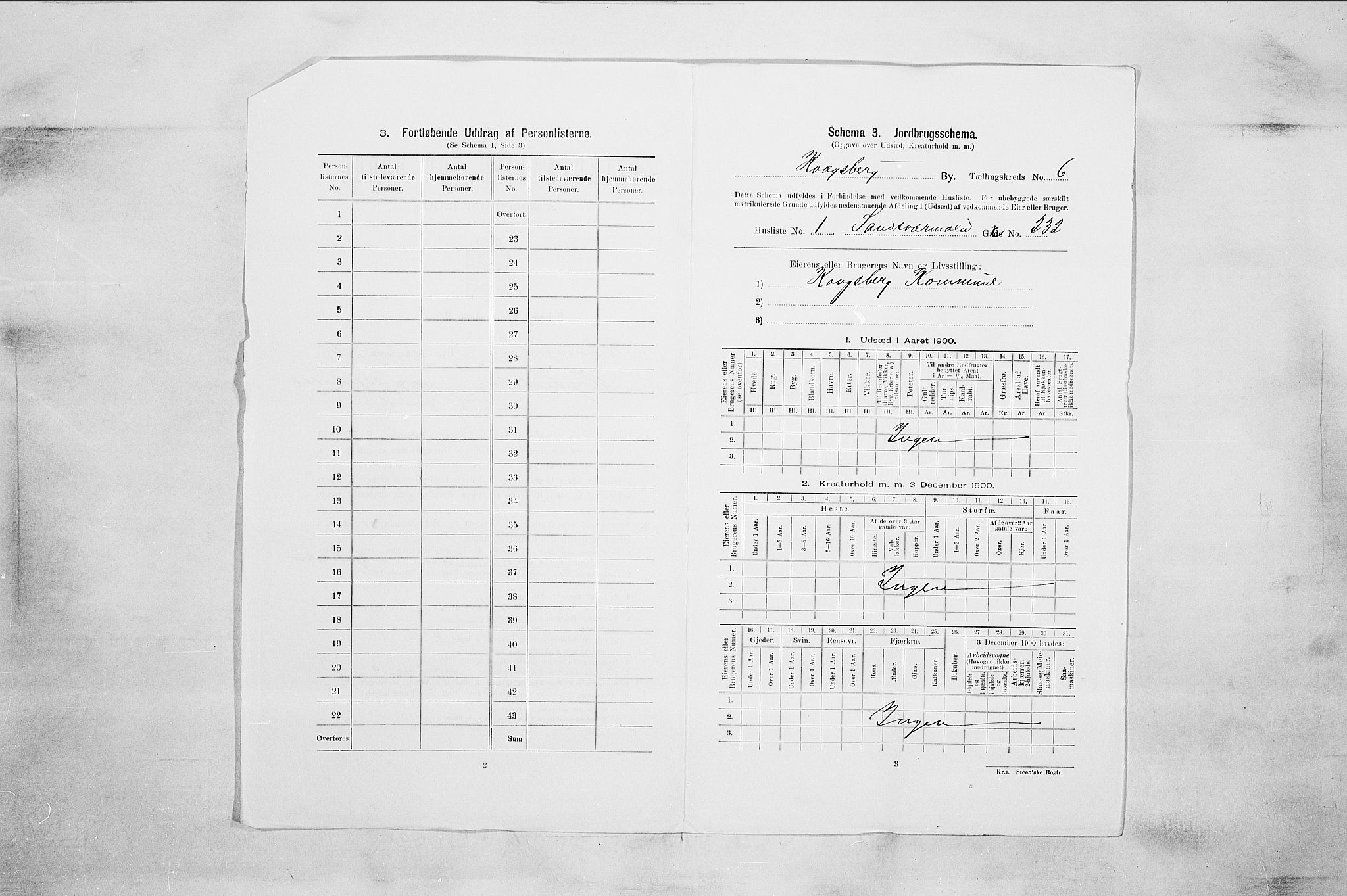 RA, 1900 census for Kongsberg, 1900, p. 1039