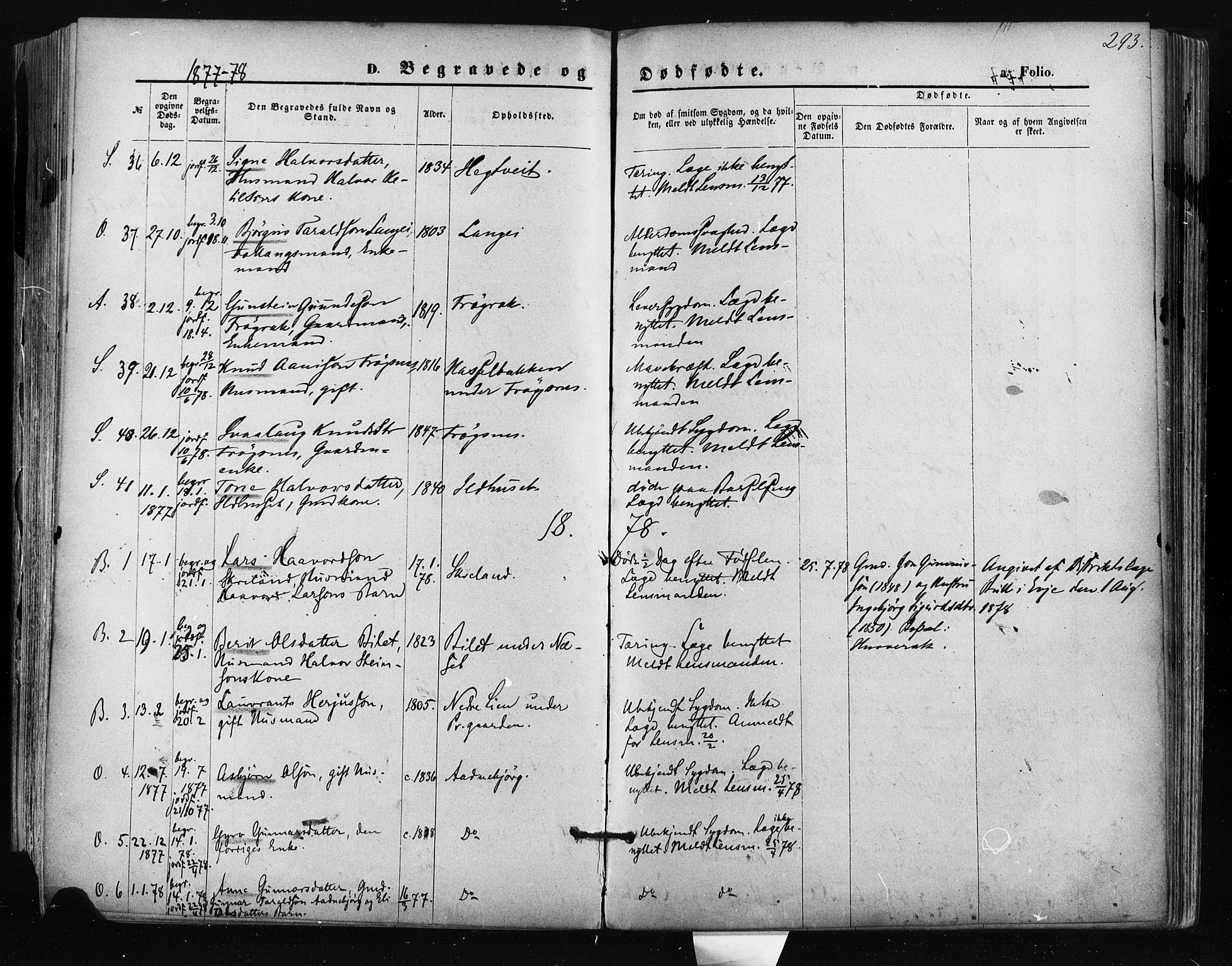 Bygland sokneprestkontor, AV/SAK-1111-0006/F/Fa/Fab/L0006: Parish register (official) no. A 6, 1873-1884, p. 293