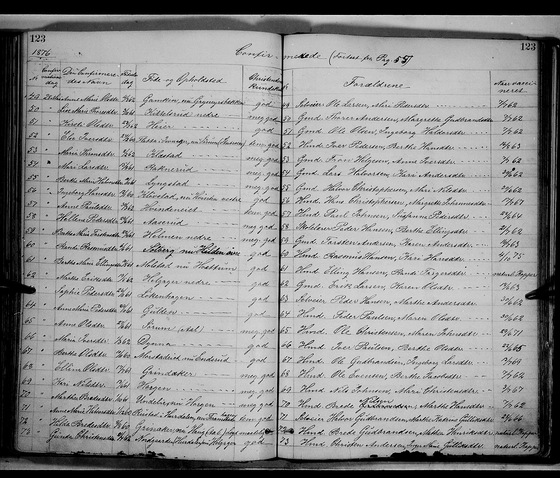 Gran prestekontor, SAH/PREST-112/H/Ha/Haa/L0013: Parish register (official) no. 13, 1875-1879, p. 123