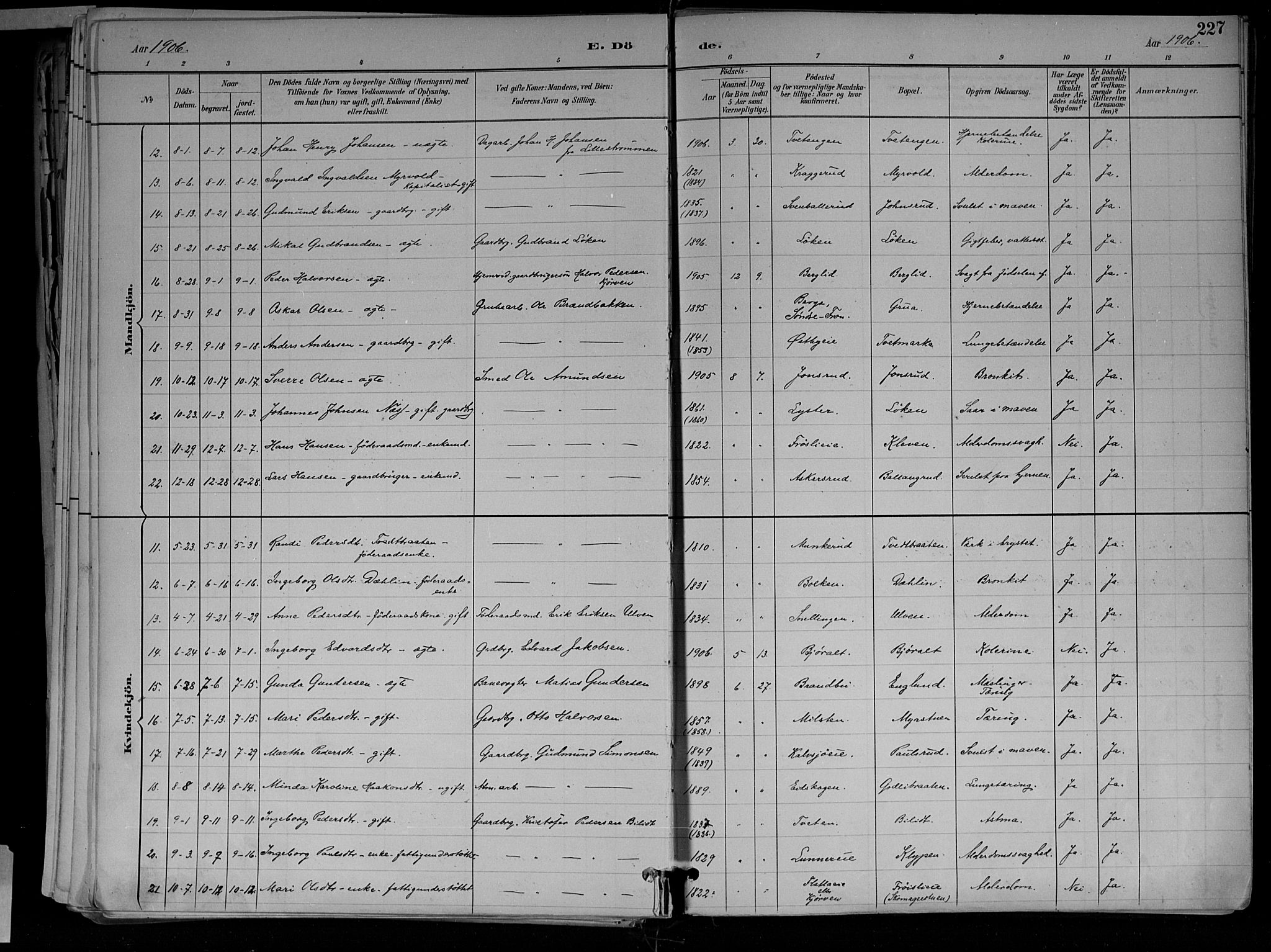 Jevnaker prestekontor, SAH/PREST-116/H/Ha/Haa/L0010: Parish register (official) no. 10, 1891-1906, p. 227