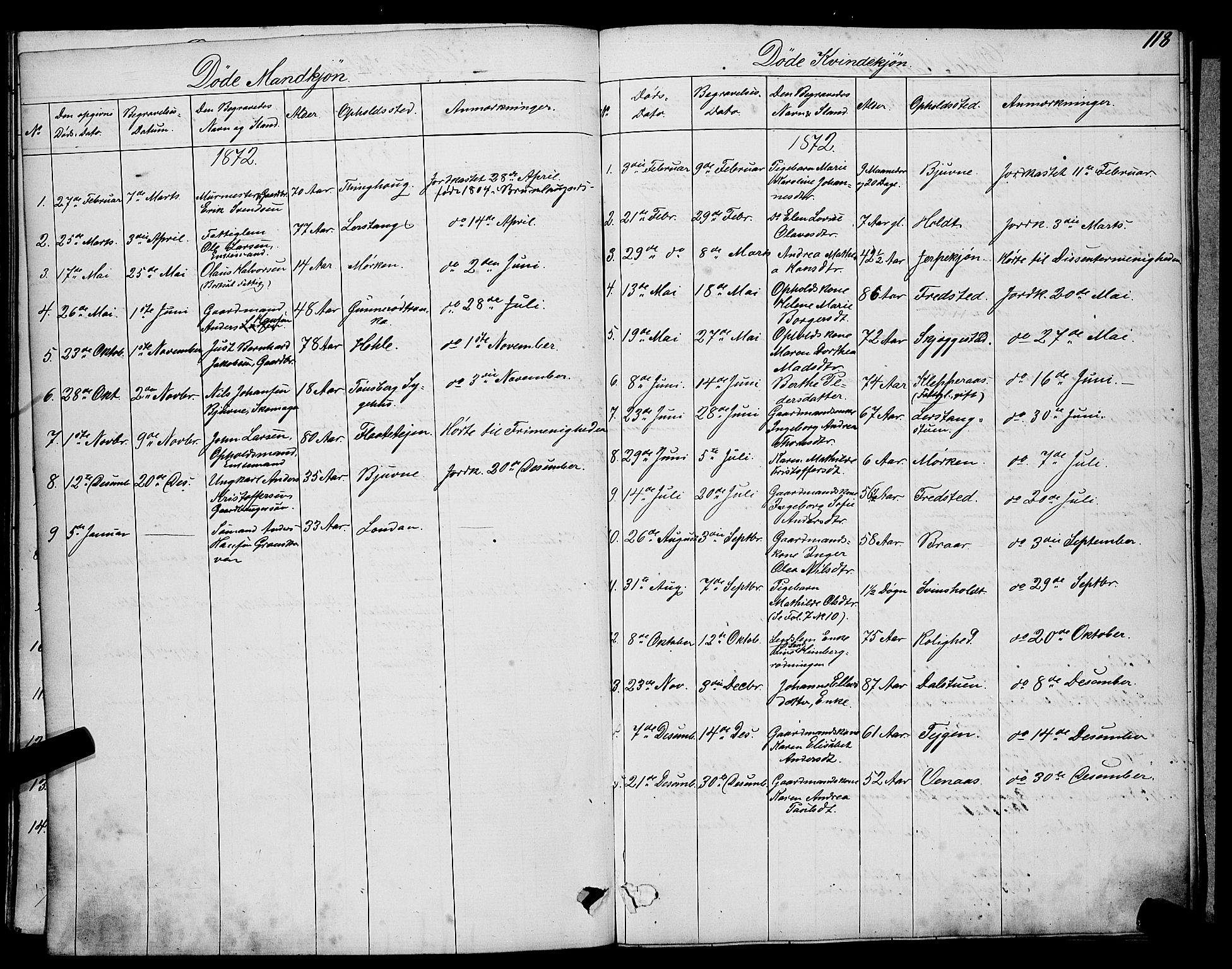 Ramnes kirkebøker, AV/SAKO-A-314/G/Ga/L0003: Parish register (copy) no. I 3, 1870-1896, p. 118