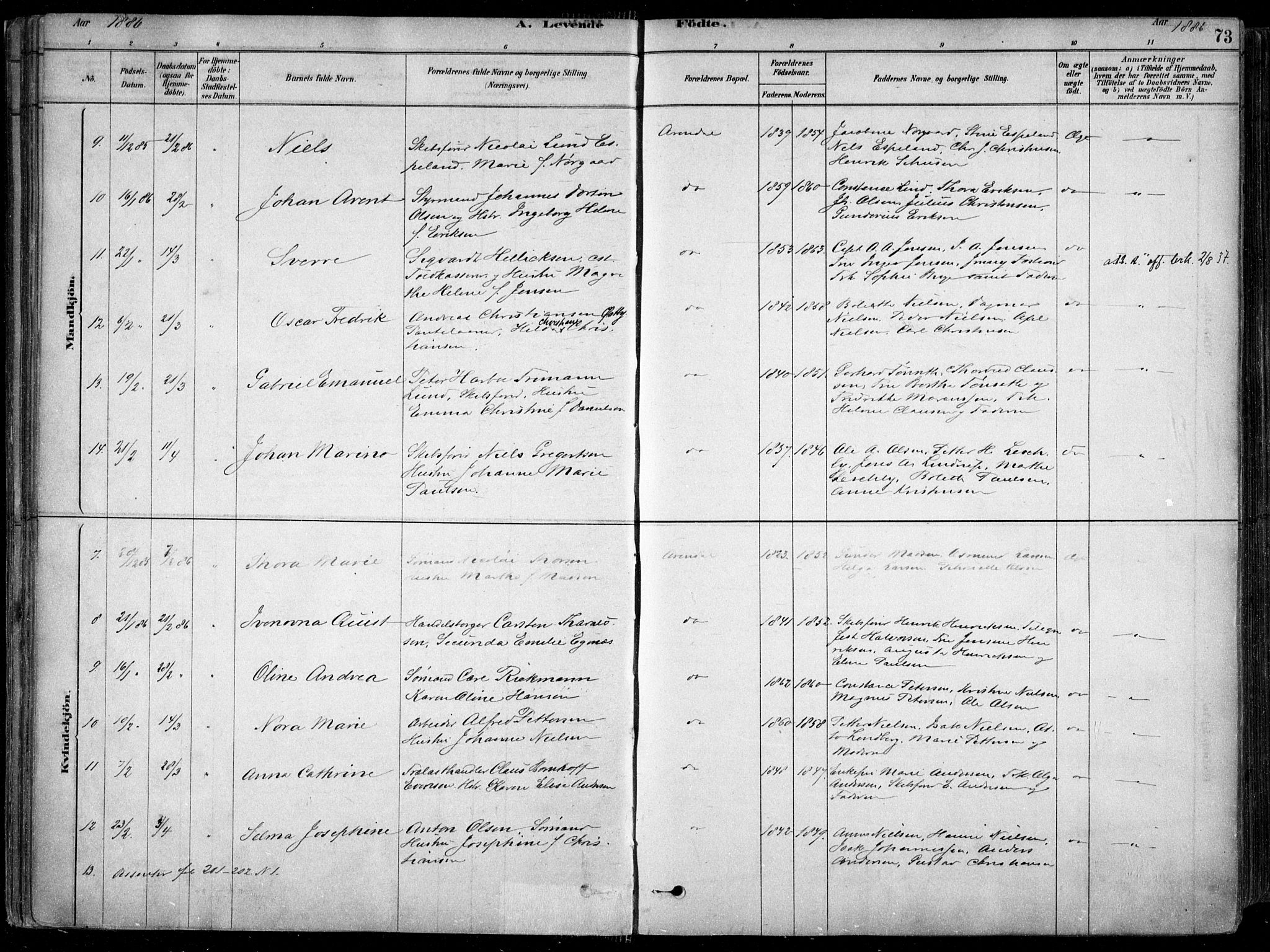 Arendal sokneprestkontor, Trefoldighet, AV/SAK-1111-0040/F/Fa/L0008: Parish register (official) no. A 8, 1878-1899, p. 73