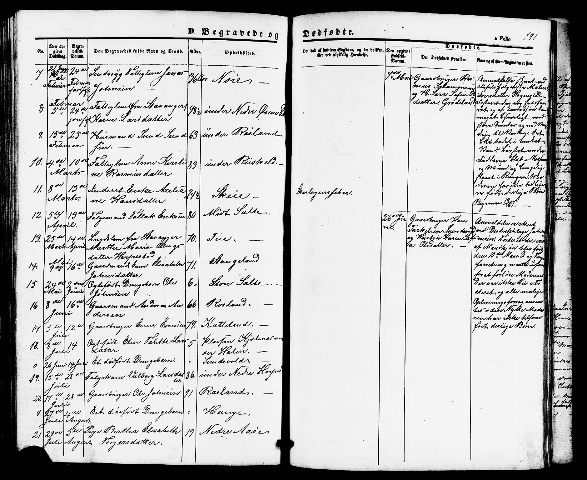 Klepp sokneprestkontor, AV/SAST-A-101803/001/3/30BB/L0002: Parish register (copy) no. B 2, 1860-1875, p. 191