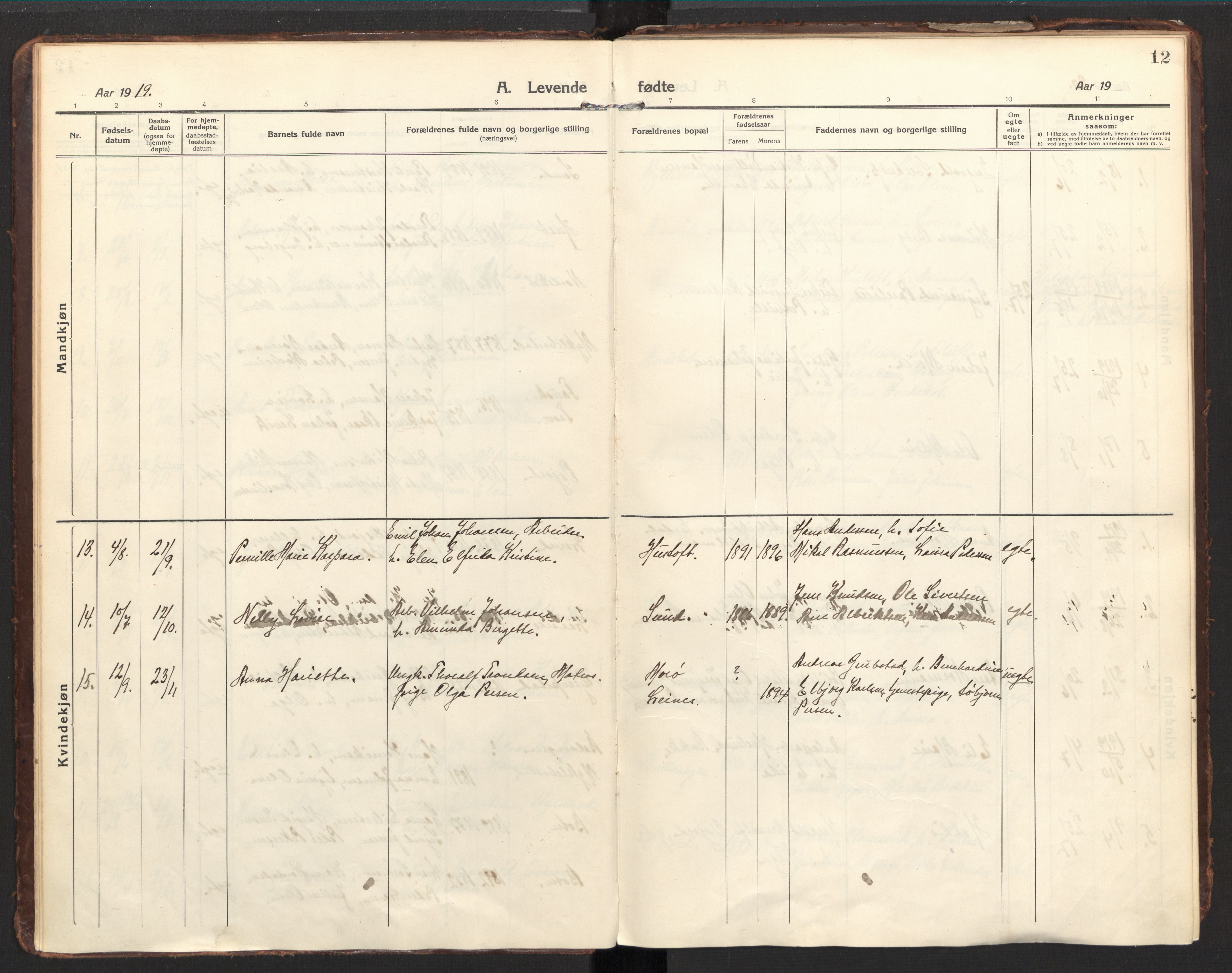 Ministerialprotokoller, klokkerbøker og fødselsregistre - Nordland, AV/SAT-A-1459/857/L0824: Parish register (official) no. 857A04, 1917-1943, p. 12