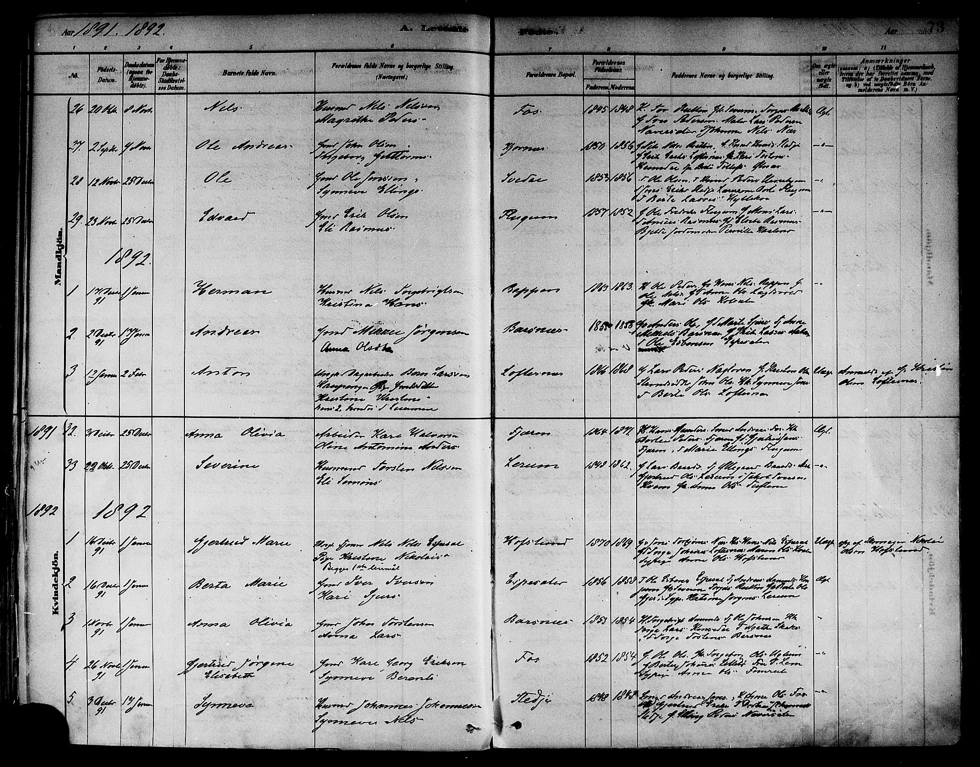 Sogndal sokneprestembete, AV/SAB-A-81301/H/Haa/Haab/L0001: Parish register (official) no. B 1, 1878-1899, p. 73