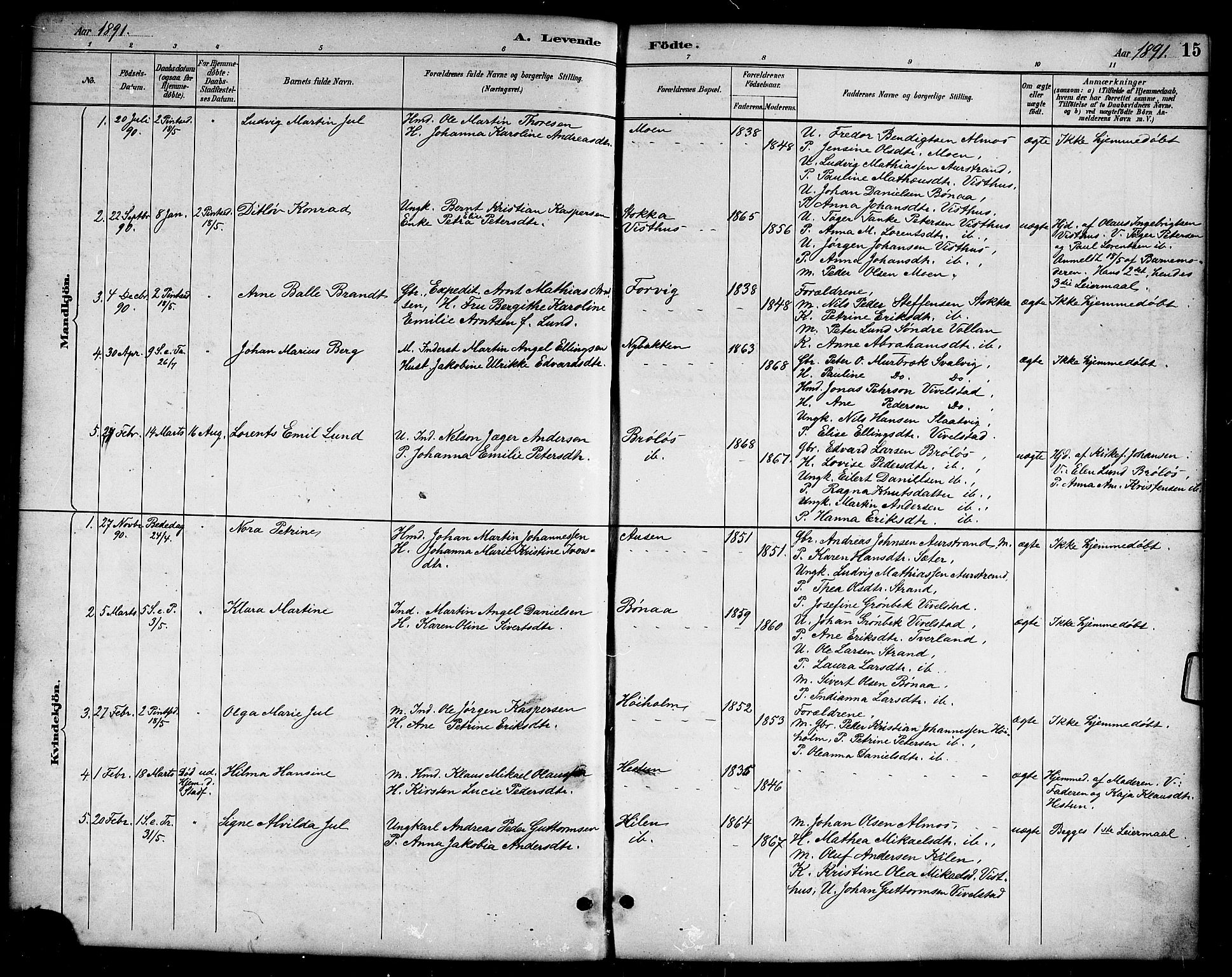 Ministerialprotokoller, klokkerbøker og fødselsregistre - Nordland, SAT/A-1459/819/L0277: Parish register (copy) no. 819C03, 1888-1917, p. 15
