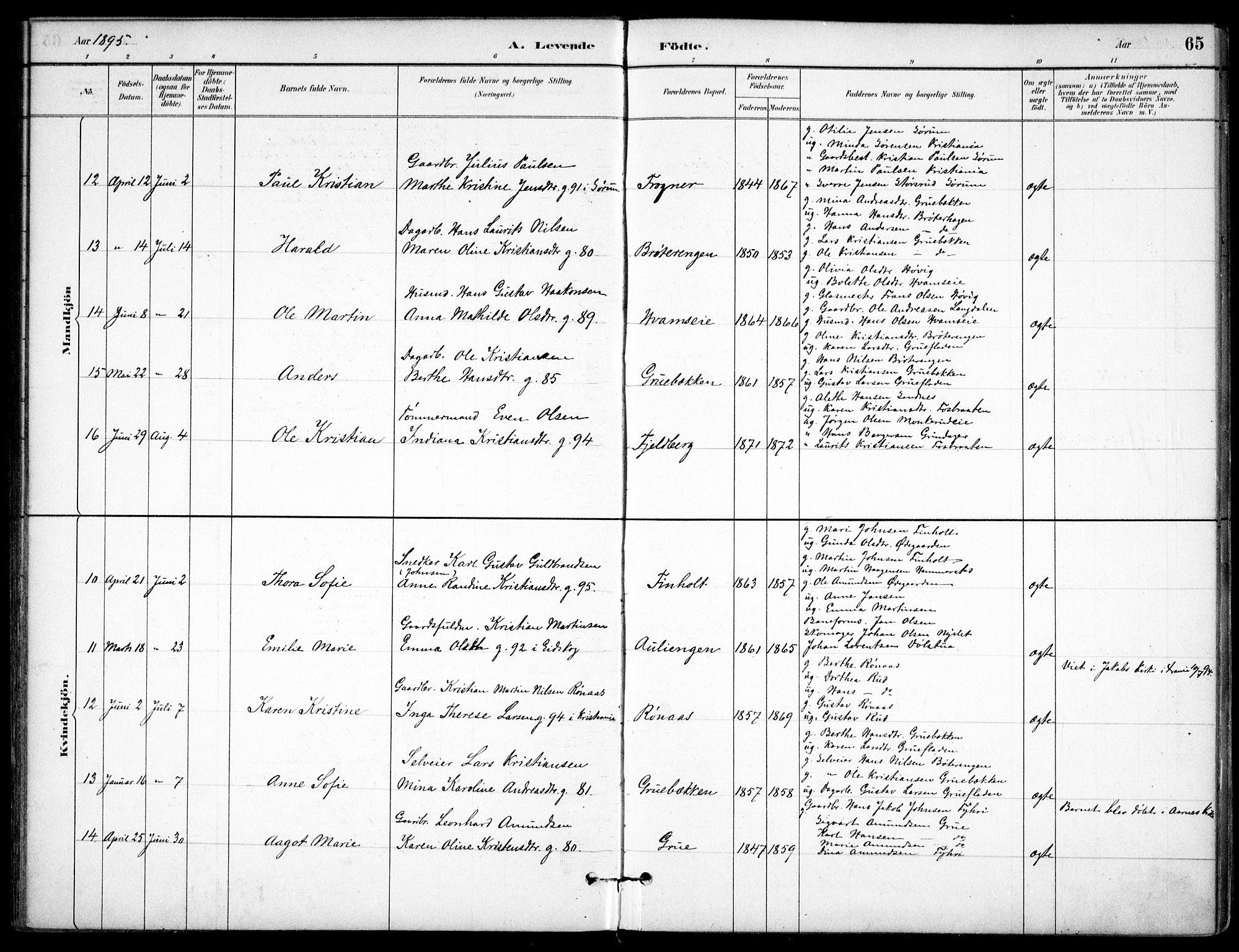 Nes prestekontor Kirkebøker, AV/SAO-A-10410/F/Fc/L0002: Parish register (official) no. IIi 2, 1882-1916, p. 65