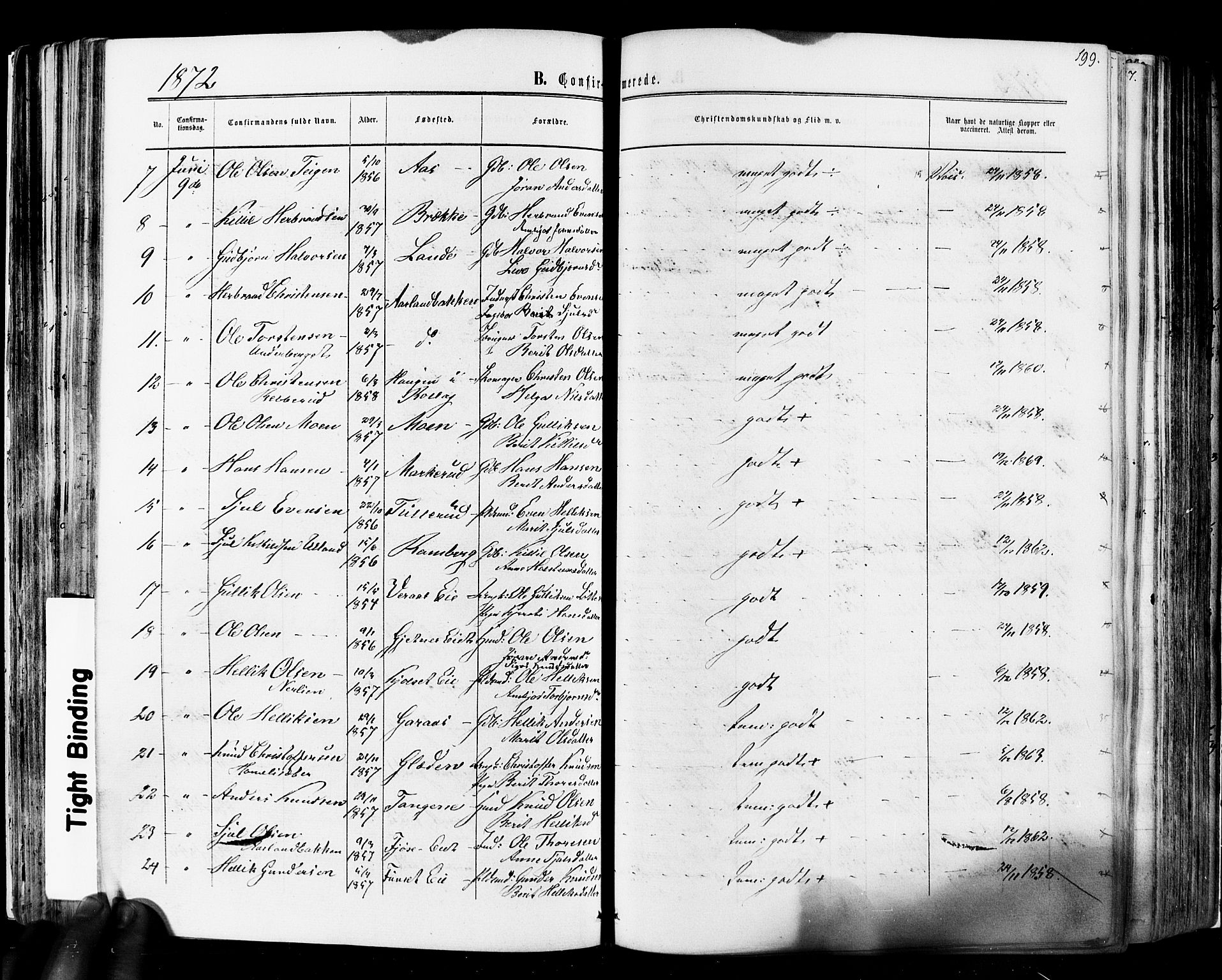 Flesberg kirkebøker, SAKO/A-18/F/Fa/L0007: Parish register (official) no. I 7, 1861-1878, p. 199
