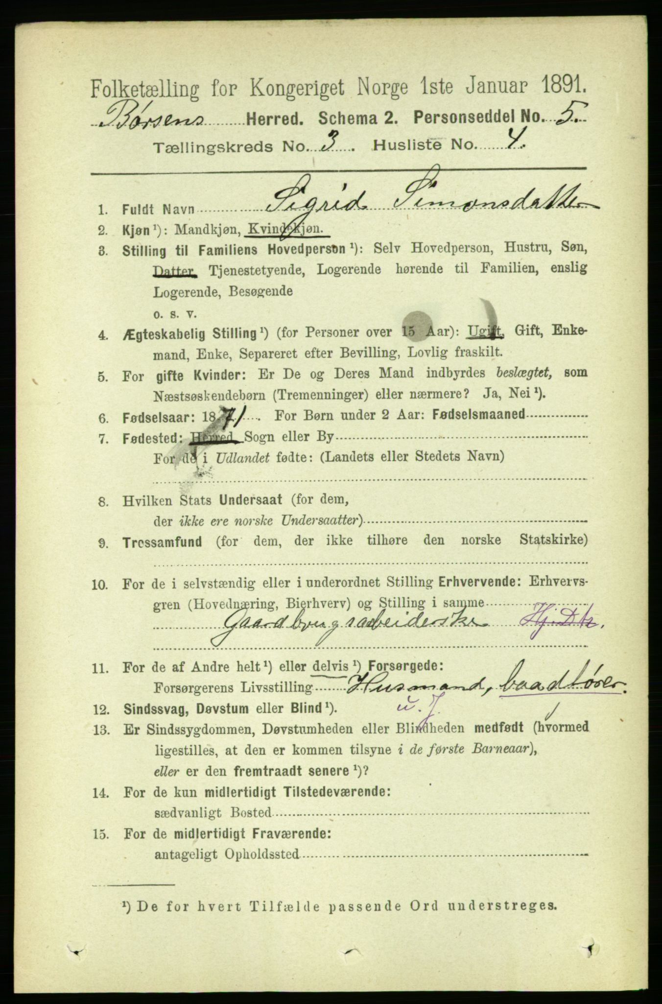 RA, 1891 census for 1658 Børsa, 1891, p. 892