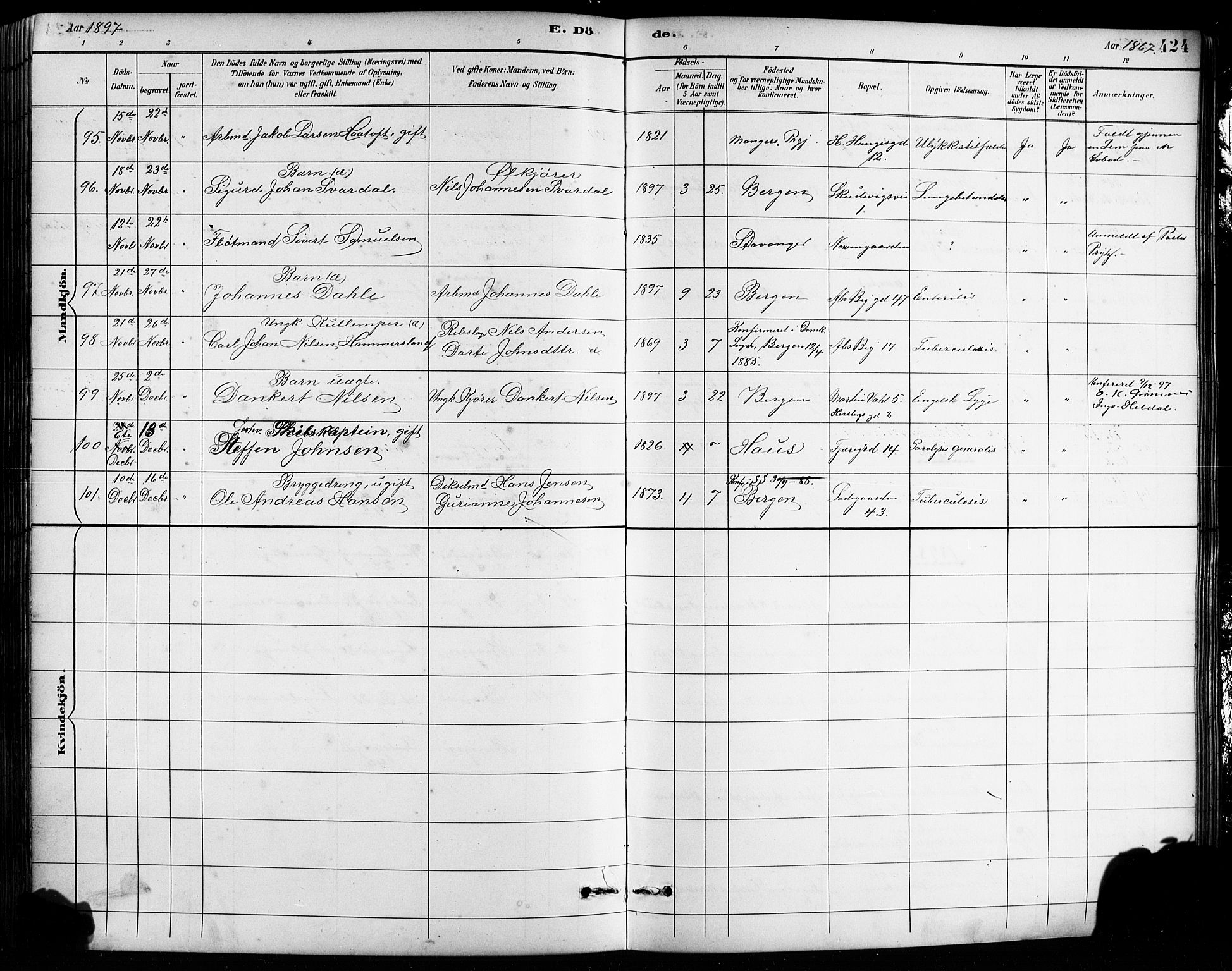 Sandviken Sokneprestembete, SAB/A-77601/H/Hb/L0002: Parish register (copy) no. A 3, 1888-1902, p. 424