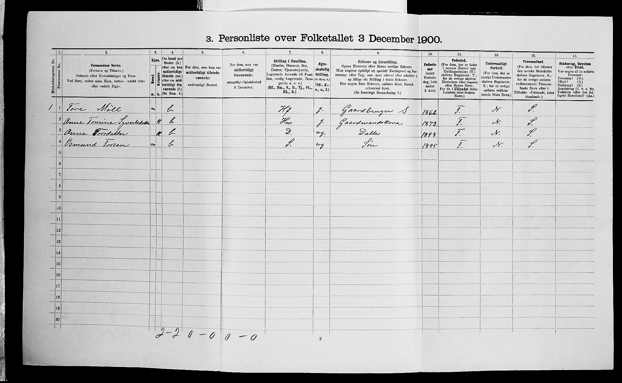 SAK, 1900 census for Holum, 1900, p. 257