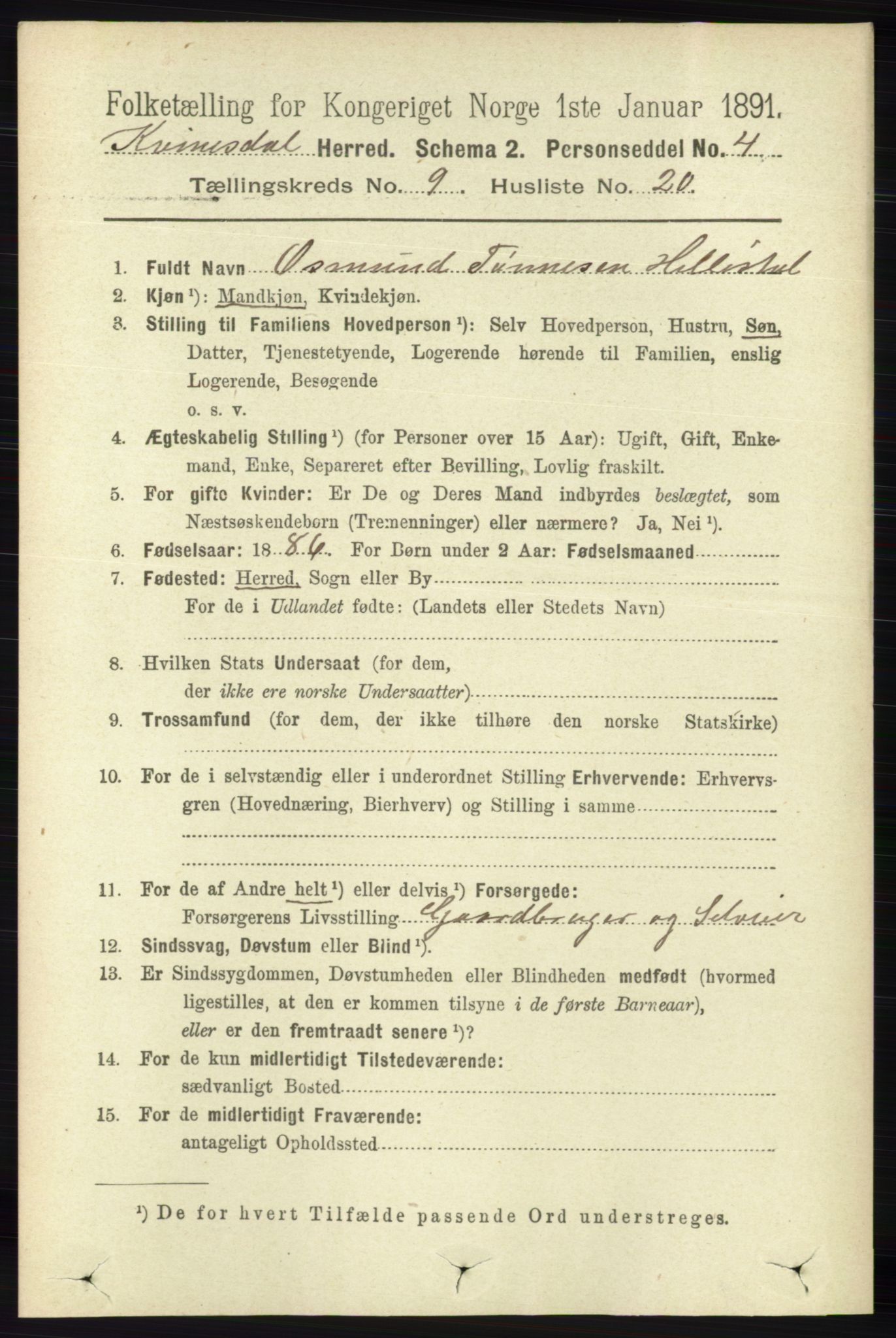 RA, 1891 census for 1037 Kvinesdal, 1891, p. 3391