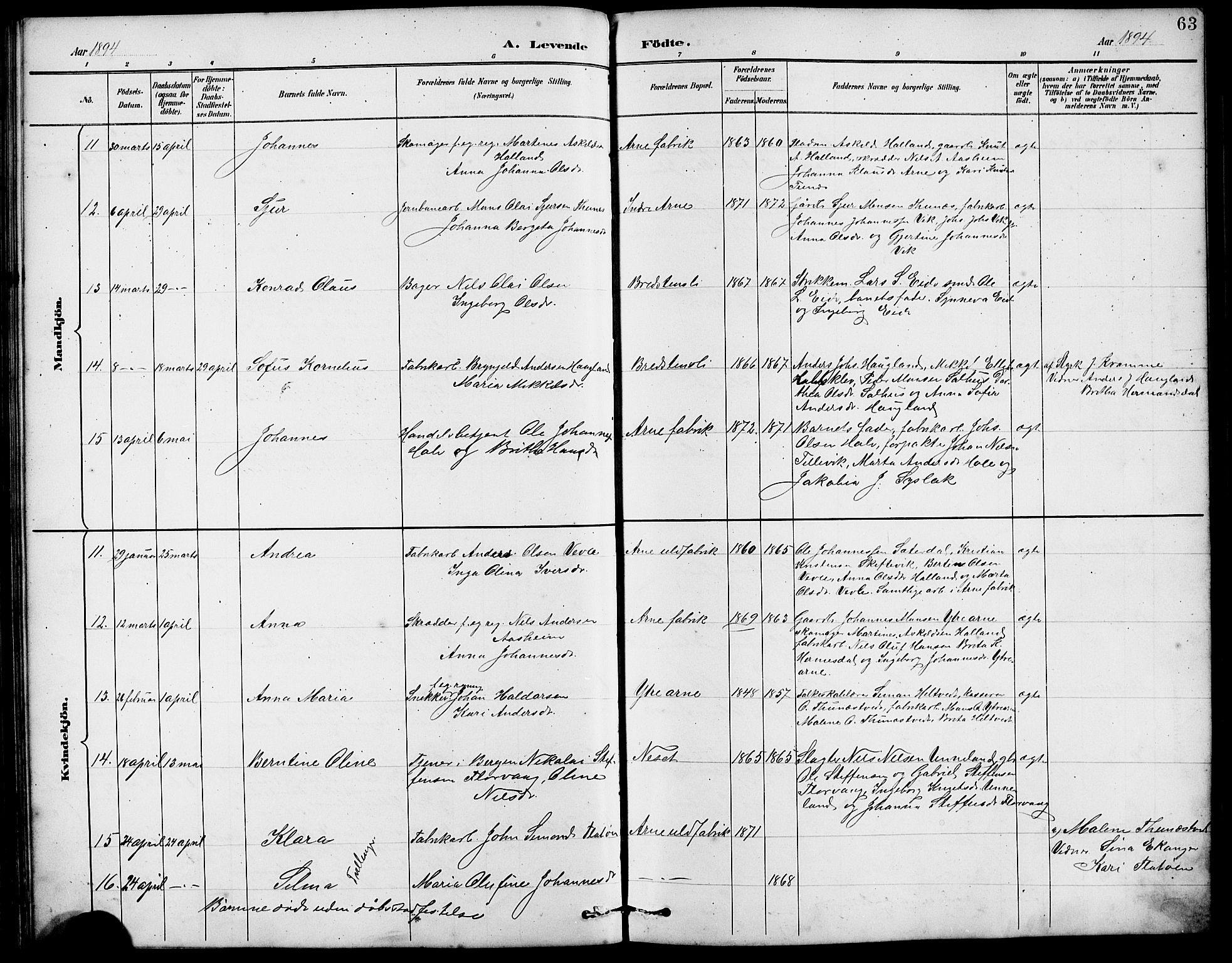 Arna sokneprestembete, AV/SAB-A-74001/H/Ha/Hab: Parish register (copy) no. A 3, 1887-1897, p. 63