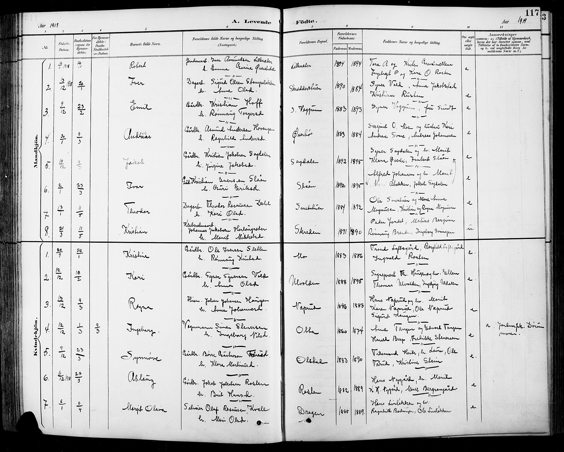Sel prestekontor, SAH/PREST-074/H/Ha/Hab/L0001: Parish register (copy) no. 1, 1894-1923, p. 117