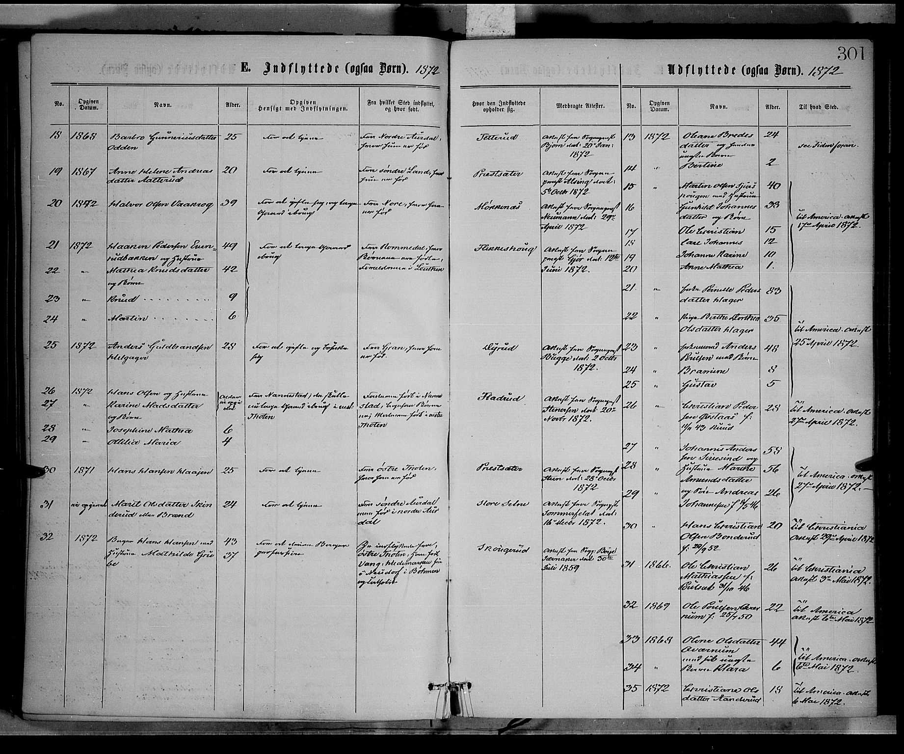 Vestre Toten prestekontor, SAH/PREST-108/H/Ha/Haa/L0008: Parish register (official) no. 8, 1870-1877, p. 301