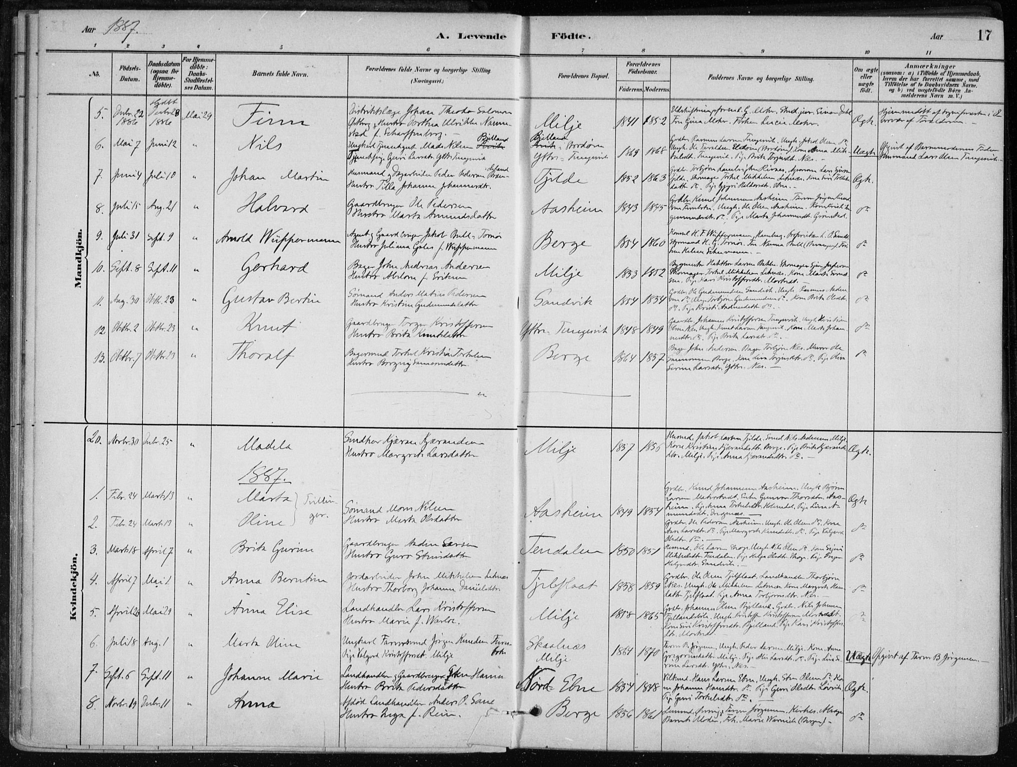 Skånevik sokneprestembete, AV/SAB-A-77801/H/Haa: Parish register (official) no. B 1, 1879-1914, p. 17