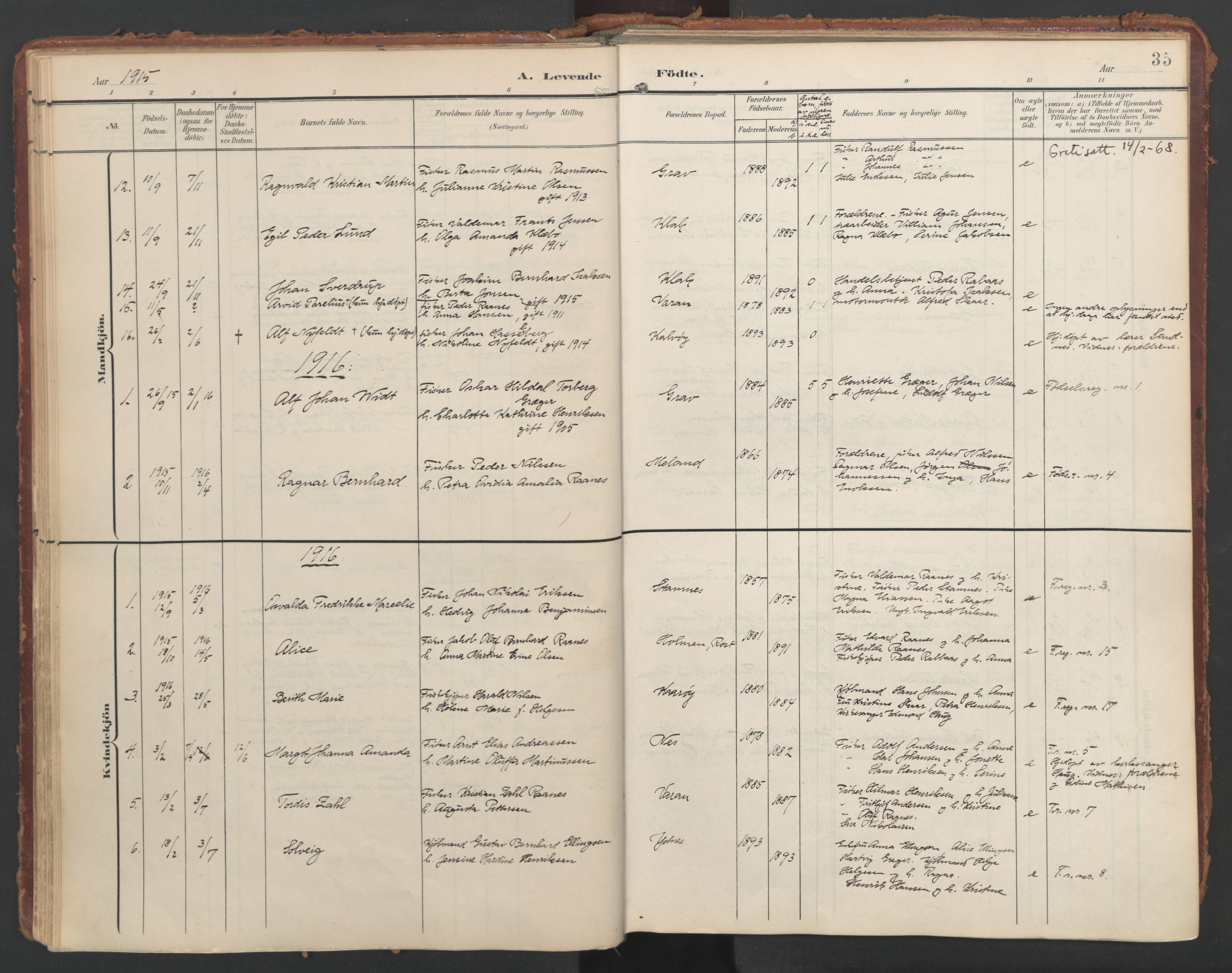 Ministerialprotokoller, klokkerbøker og fødselsregistre - Nordland, AV/SAT-A-1459/808/L0129: Parish register (official) no. 808A02, 1903-1931, p. 35