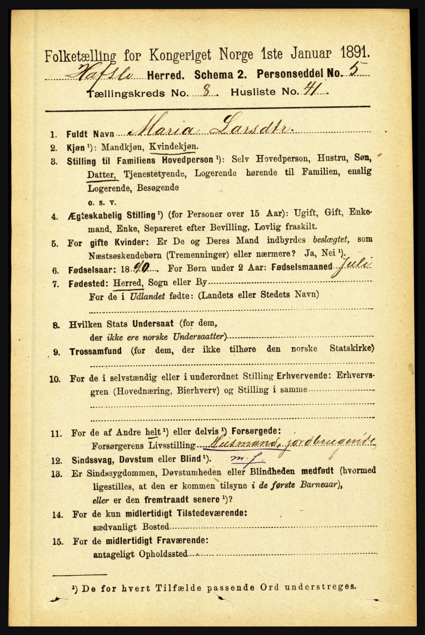 RA, 1891 census for 1425 Hafslo, 1891, p. 3395