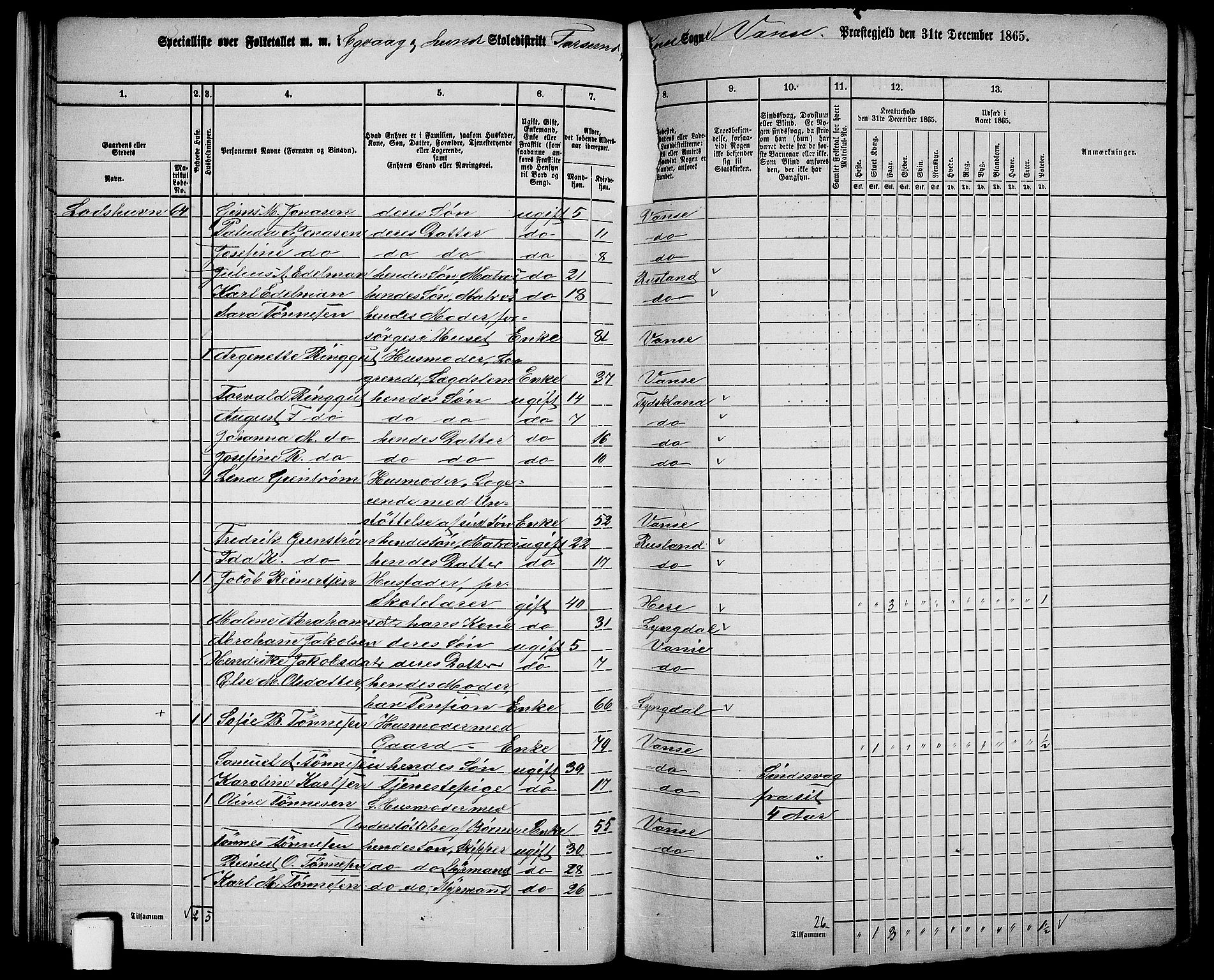 RA, 1865 census for Vanse/Vanse og Farsund, 1865, p. 29