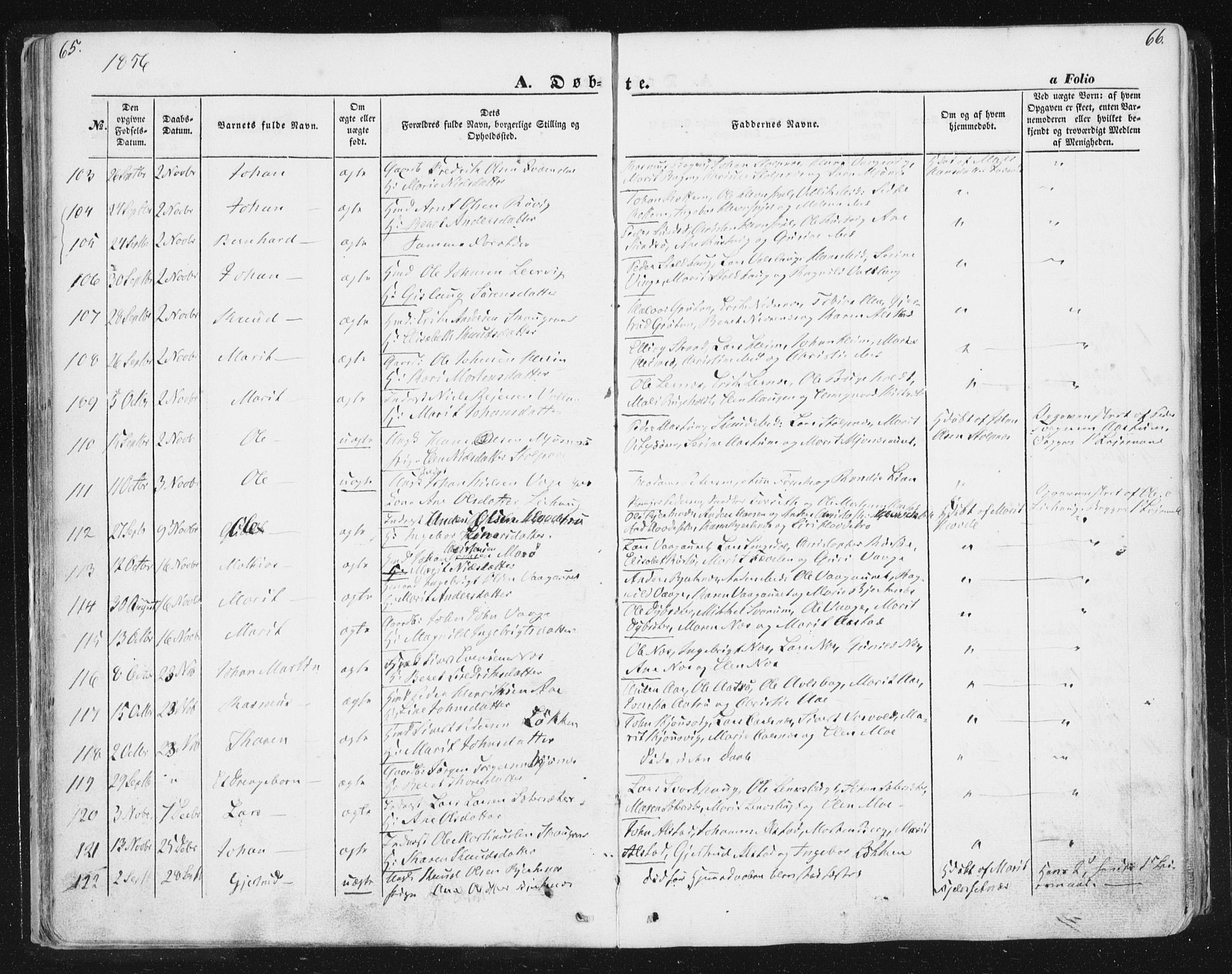 Ministerialprotokoller, klokkerbøker og fødselsregistre - Sør-Trøndelag, SAT/A-1456/630/L0494: Parish register (official) no. 630A07, 1852-1868, p. 65-66