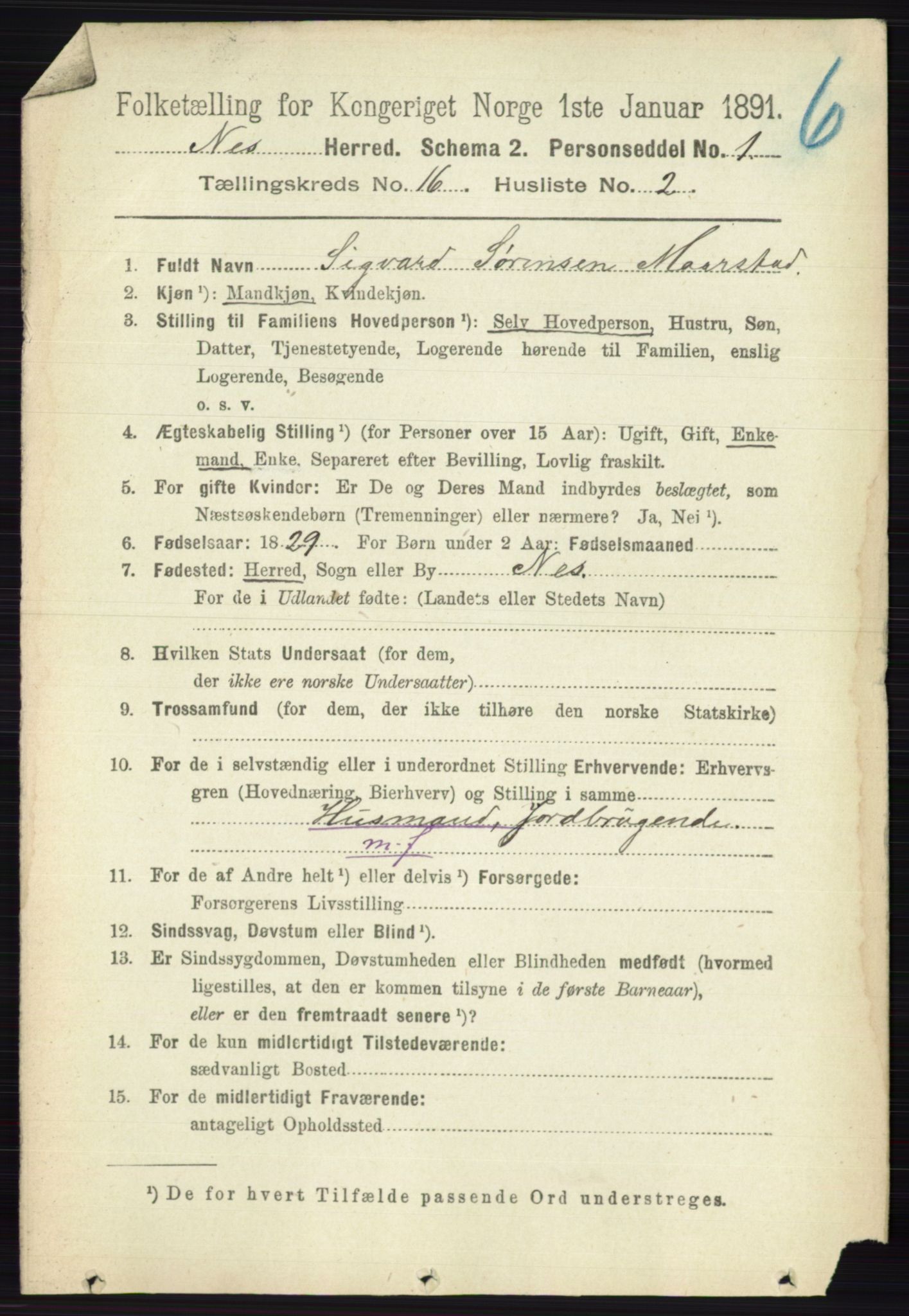 RA, 1891 census for 0236 Nes, 1891, p. 9558