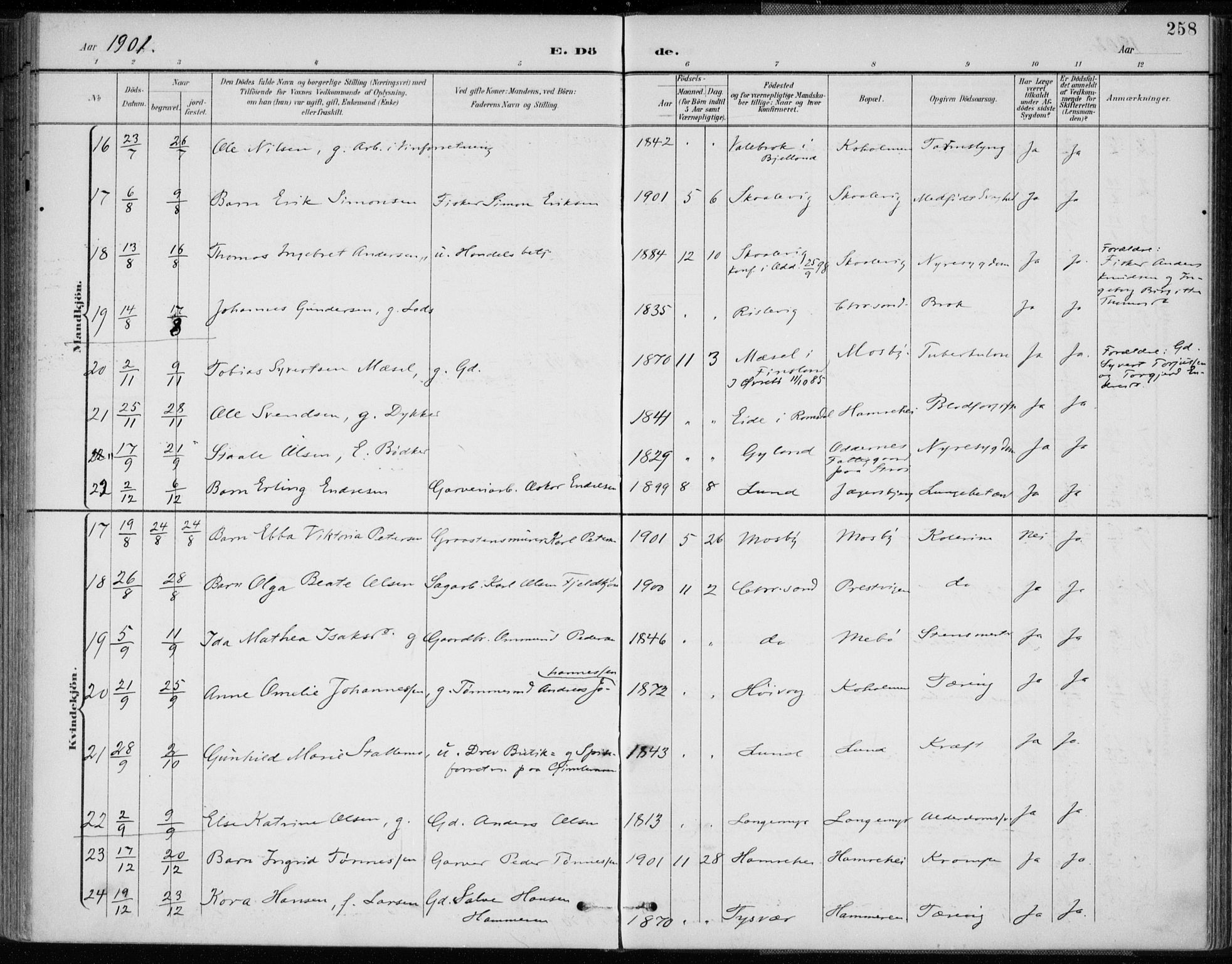 Oddernes sokneprestkontor, SAK/1111-0033/F/Fa/Faa/L0010: Parish register (official) no. A 10, 1897-1911, p. 258